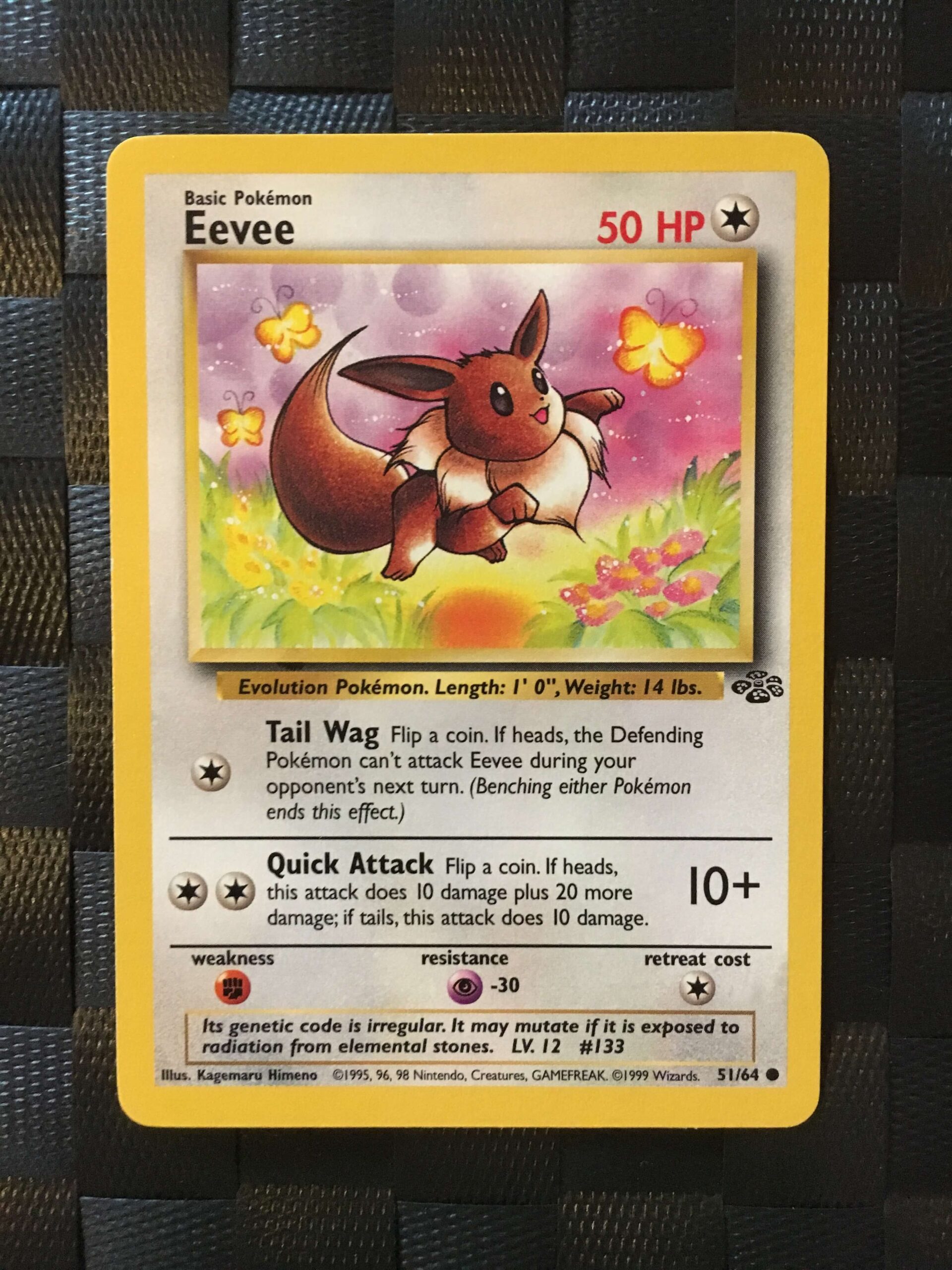 Eevee Common Jungle Eevee Common Jungle