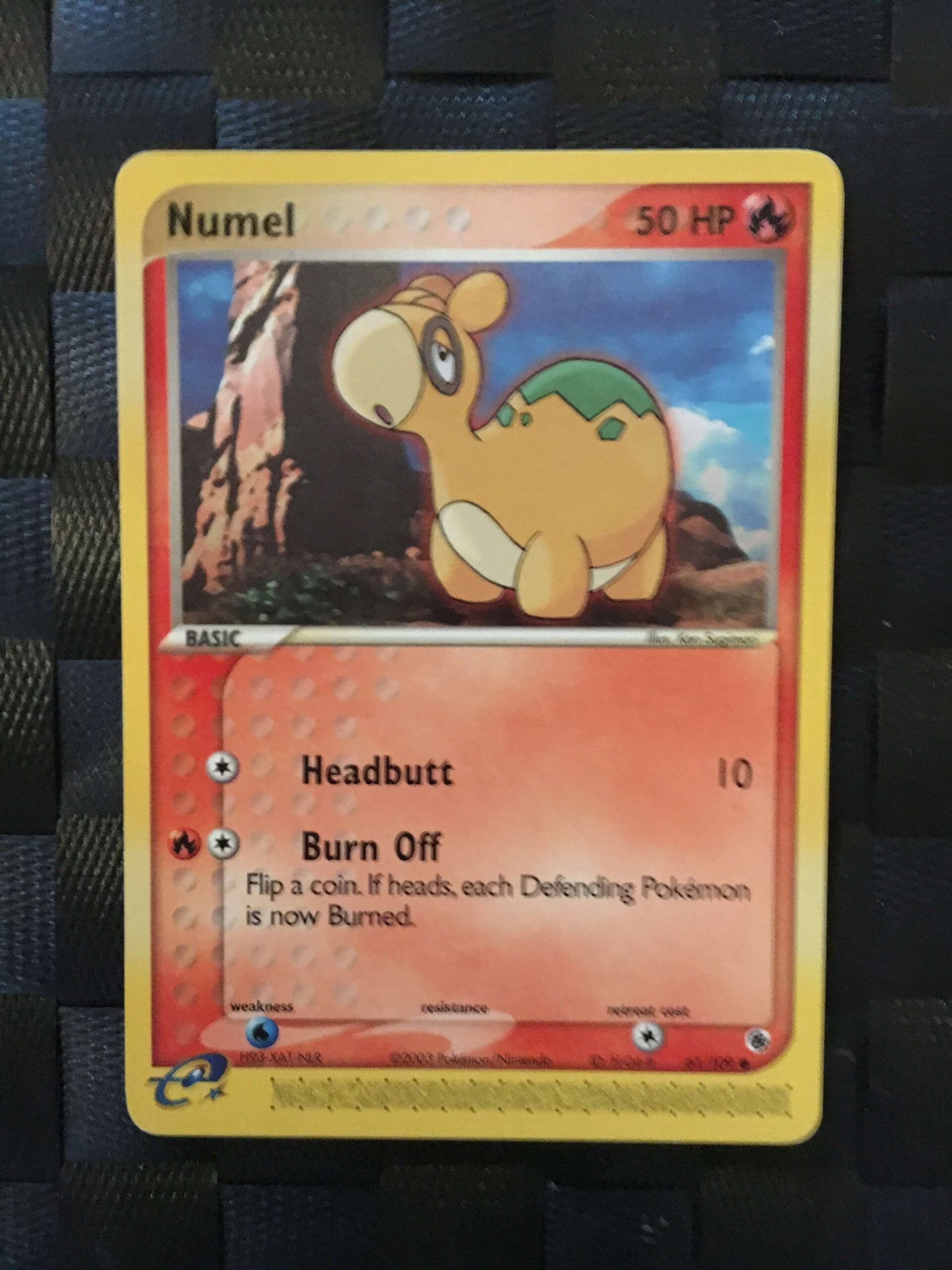 Numel Common Ex Ruby & Sapphire Numel Common Ex Ruby & Sapphire