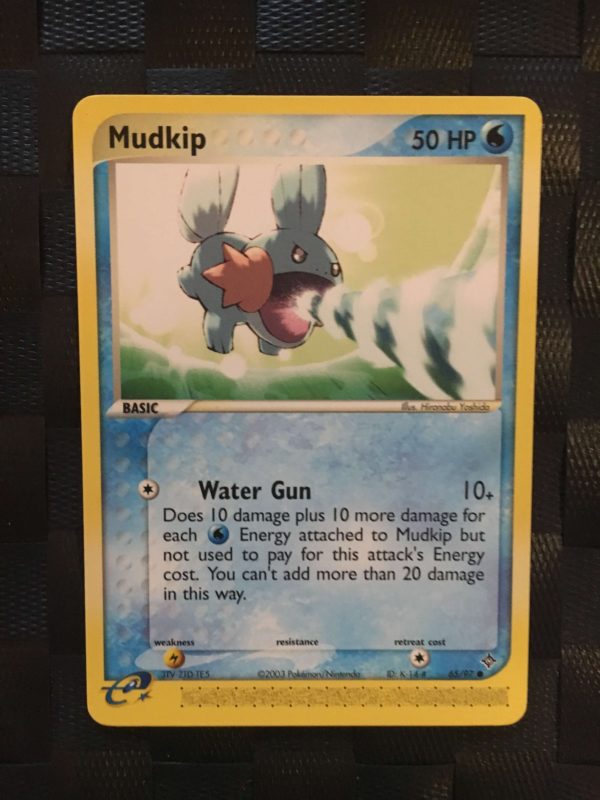 Mudkip Common Ex Dragon