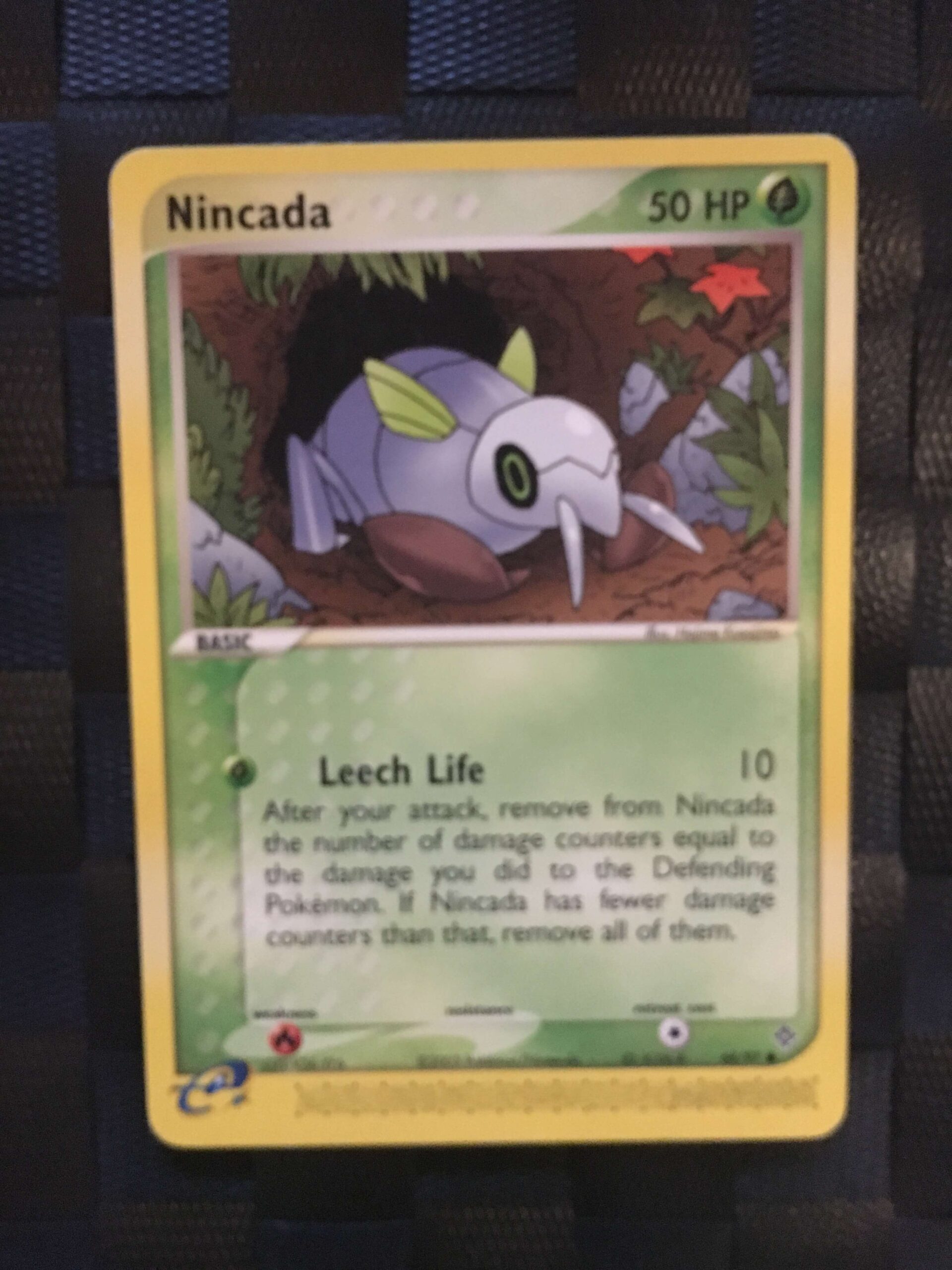Nincada Common Ex Dragon 6 Nincada Common Ex Dragon 6