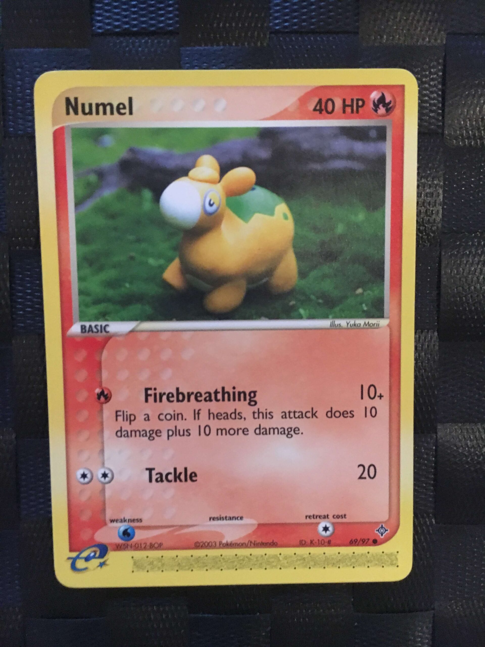 Numel Common Ex Dragon