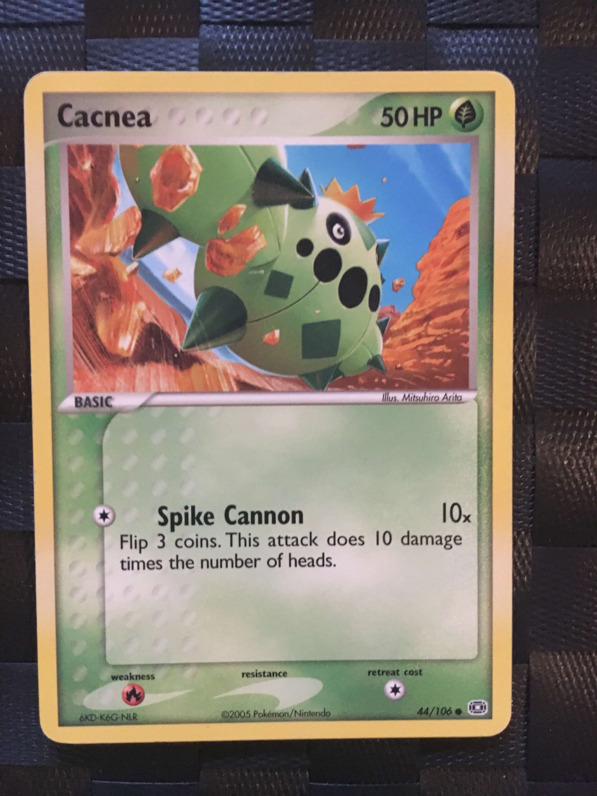 Cacnea Common Ex Emerald Cacnea Common Ex Emerald