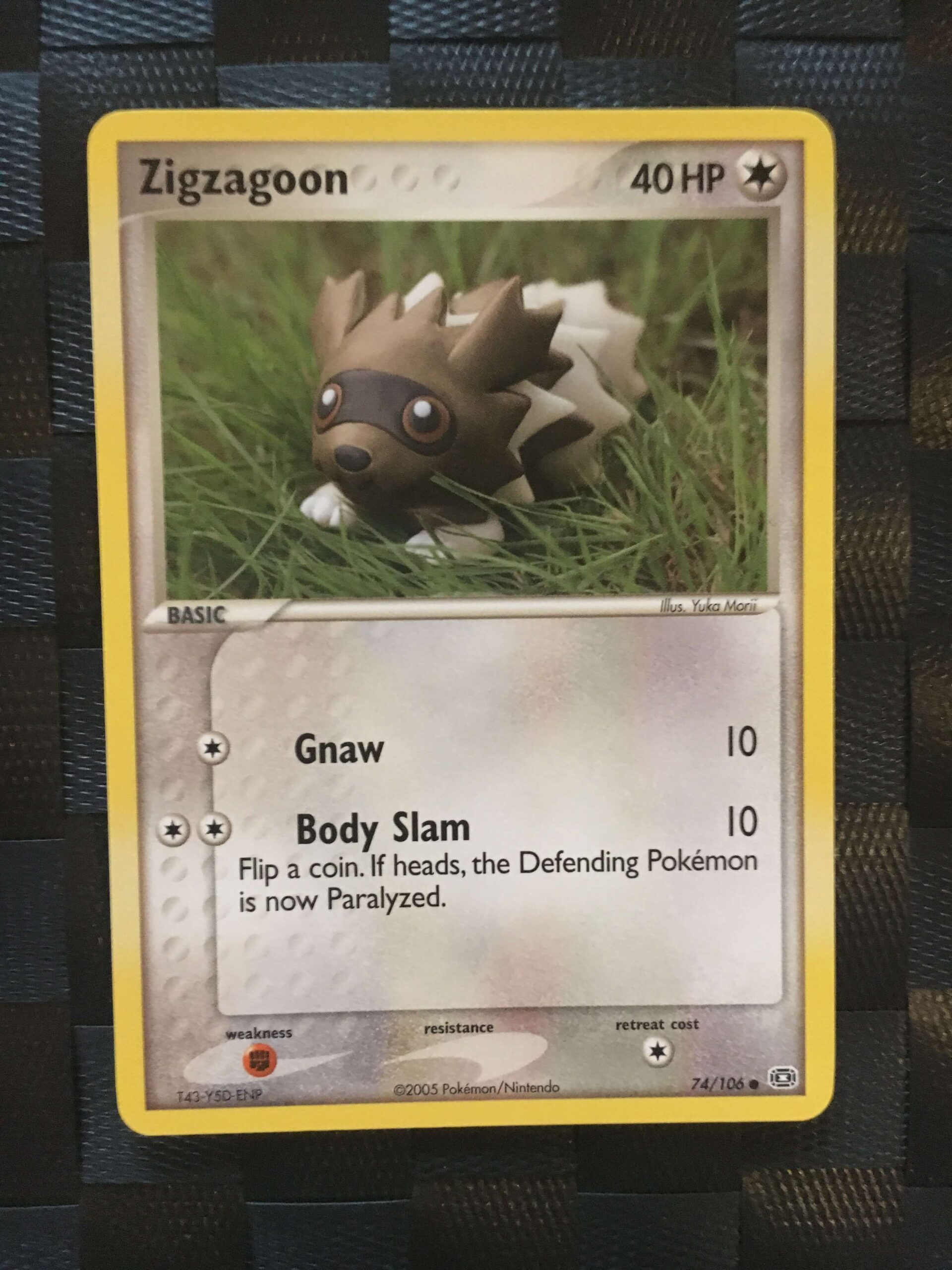 Zigzagoon Common Ex Emerald Zigzagoon Common Ex Emerald