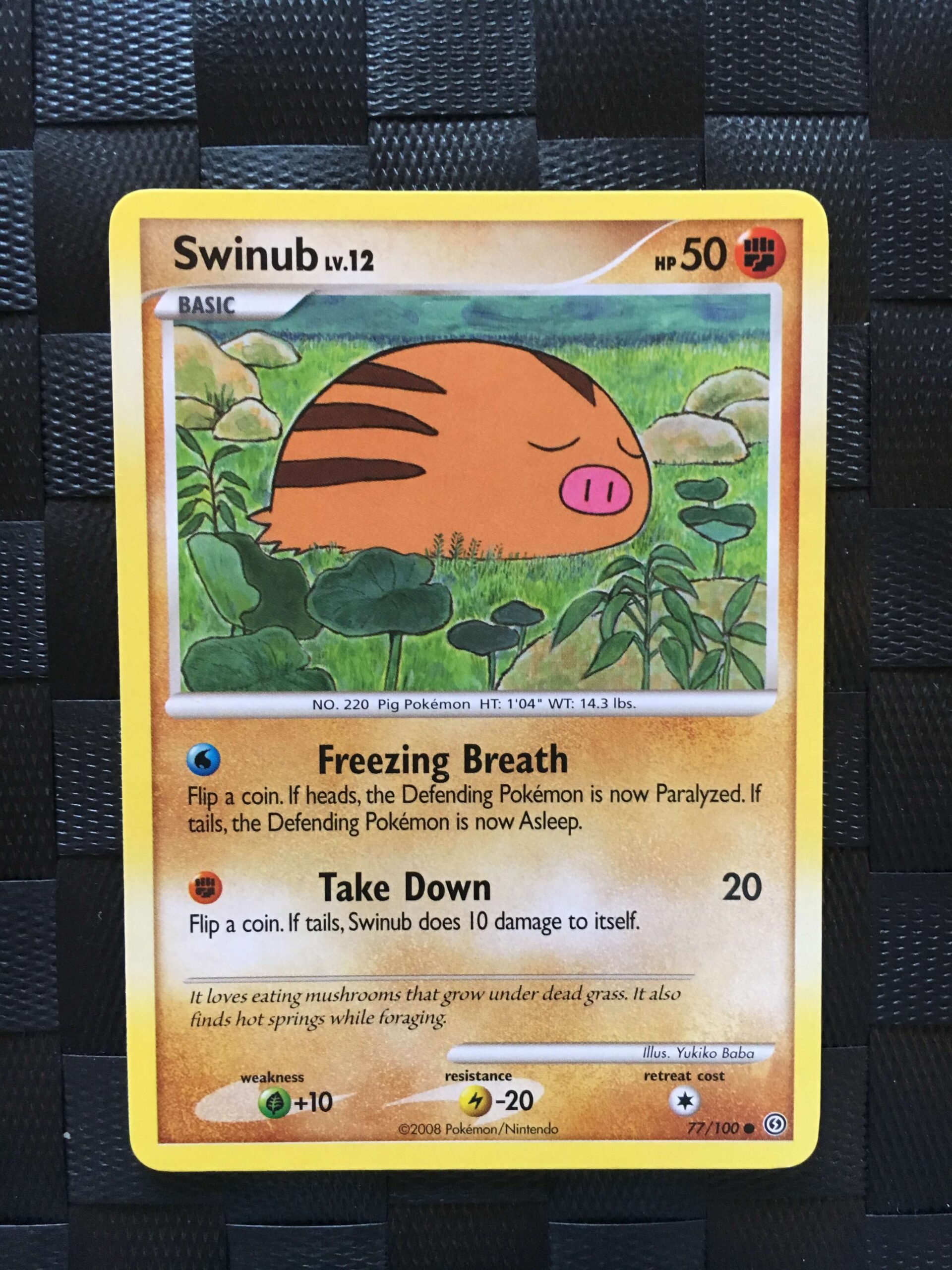 Swinub Common Diamond & Pearl: Stormfront