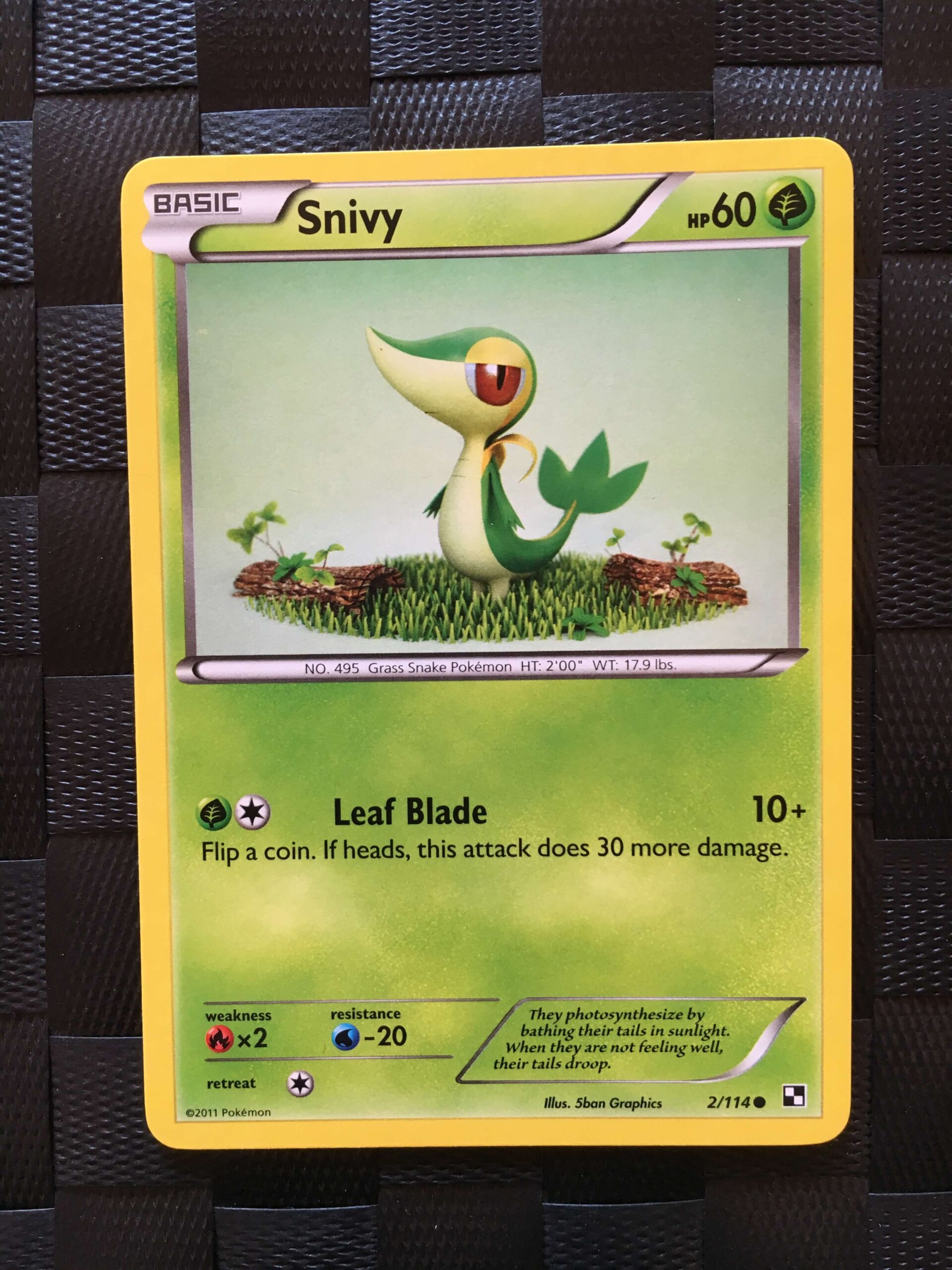 Snivy Common Black & White 2