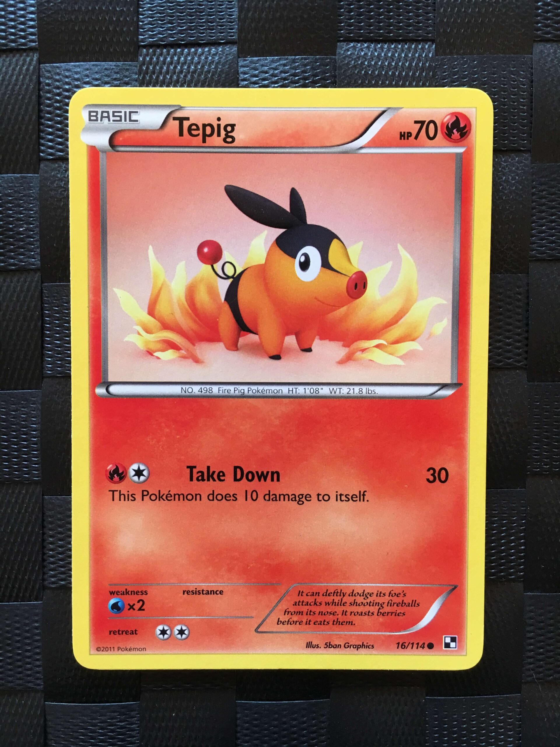 Tepig Common Black & White Tepig Common Black & White