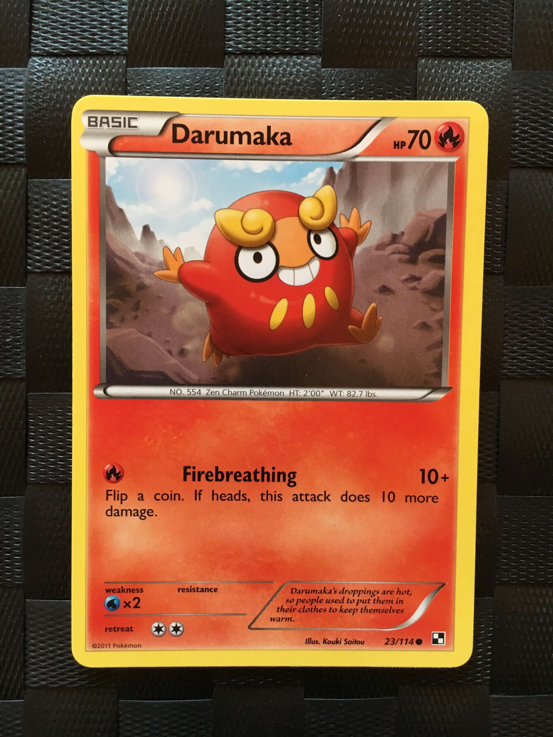 Darumaka Common Black & White