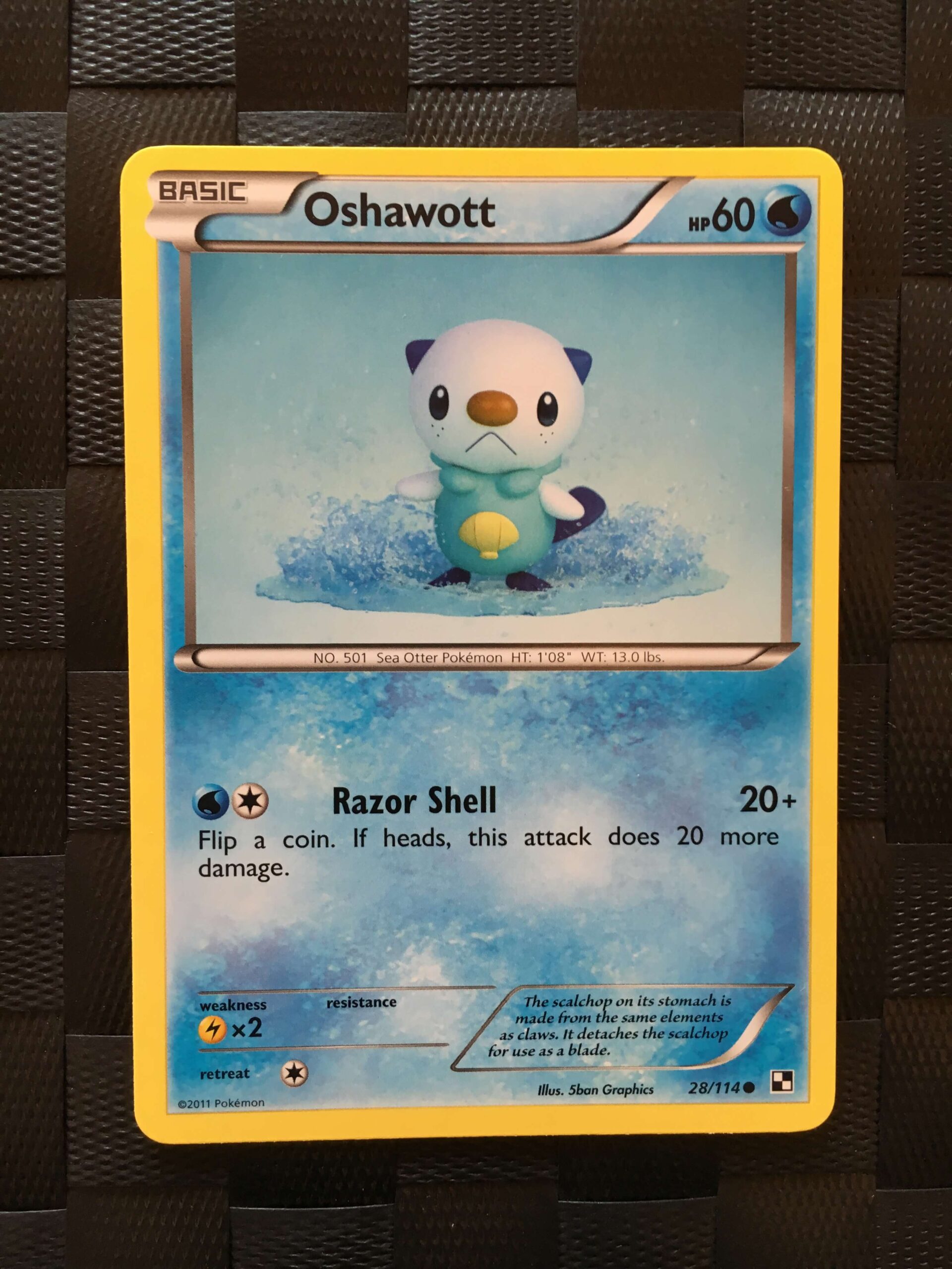 Oshawott Common Black & White 2 Oshawott Common Black & White 2