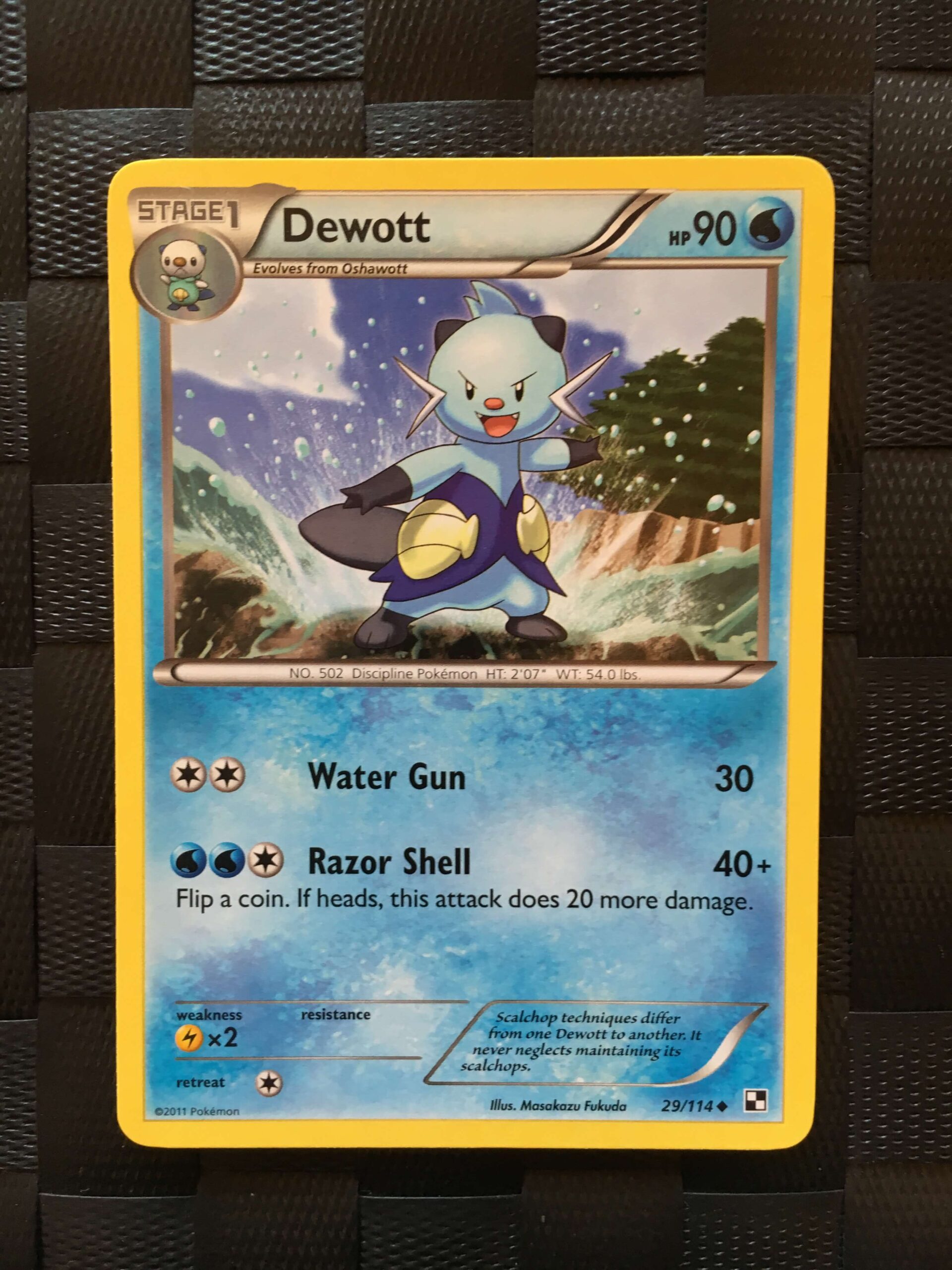 Dewott Uncommon Black & White Dewott Uncommon Black & White