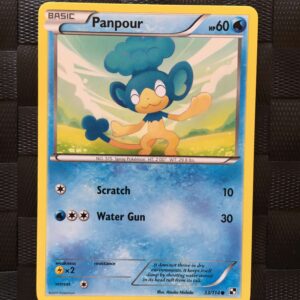 Panpour Common Black & White