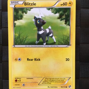 Blitzle Common Black & White