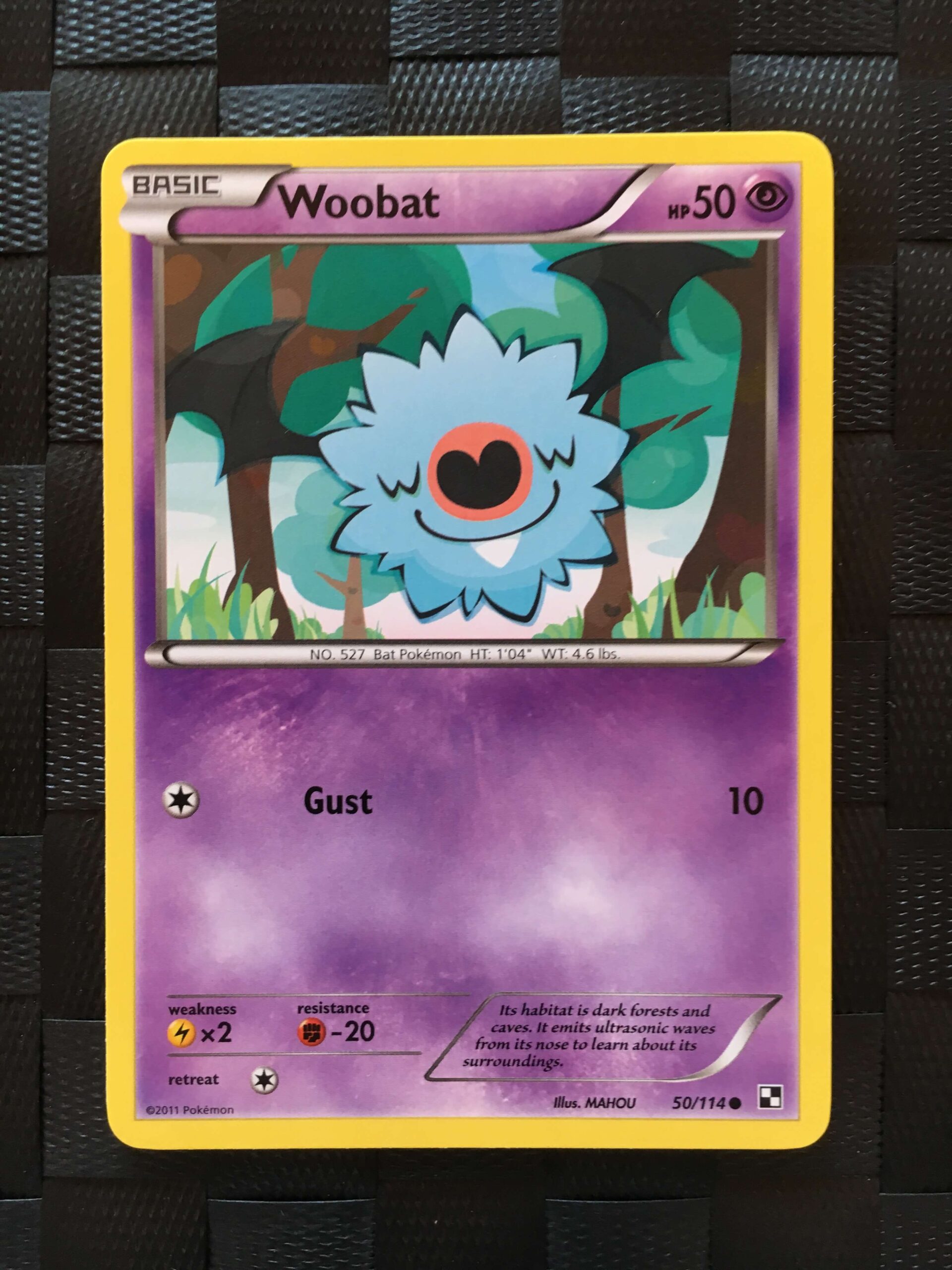 Woobat Common Black & White Woobat Common Black & White