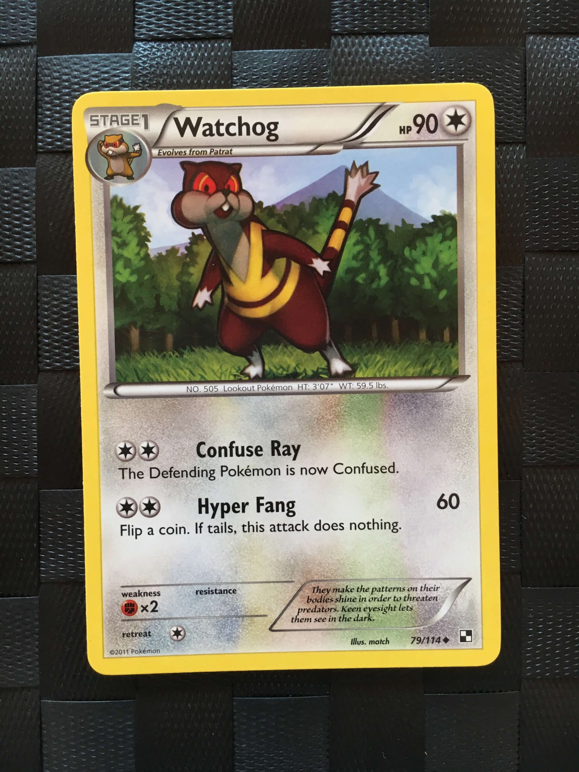 Watchog Uncommon Black & White