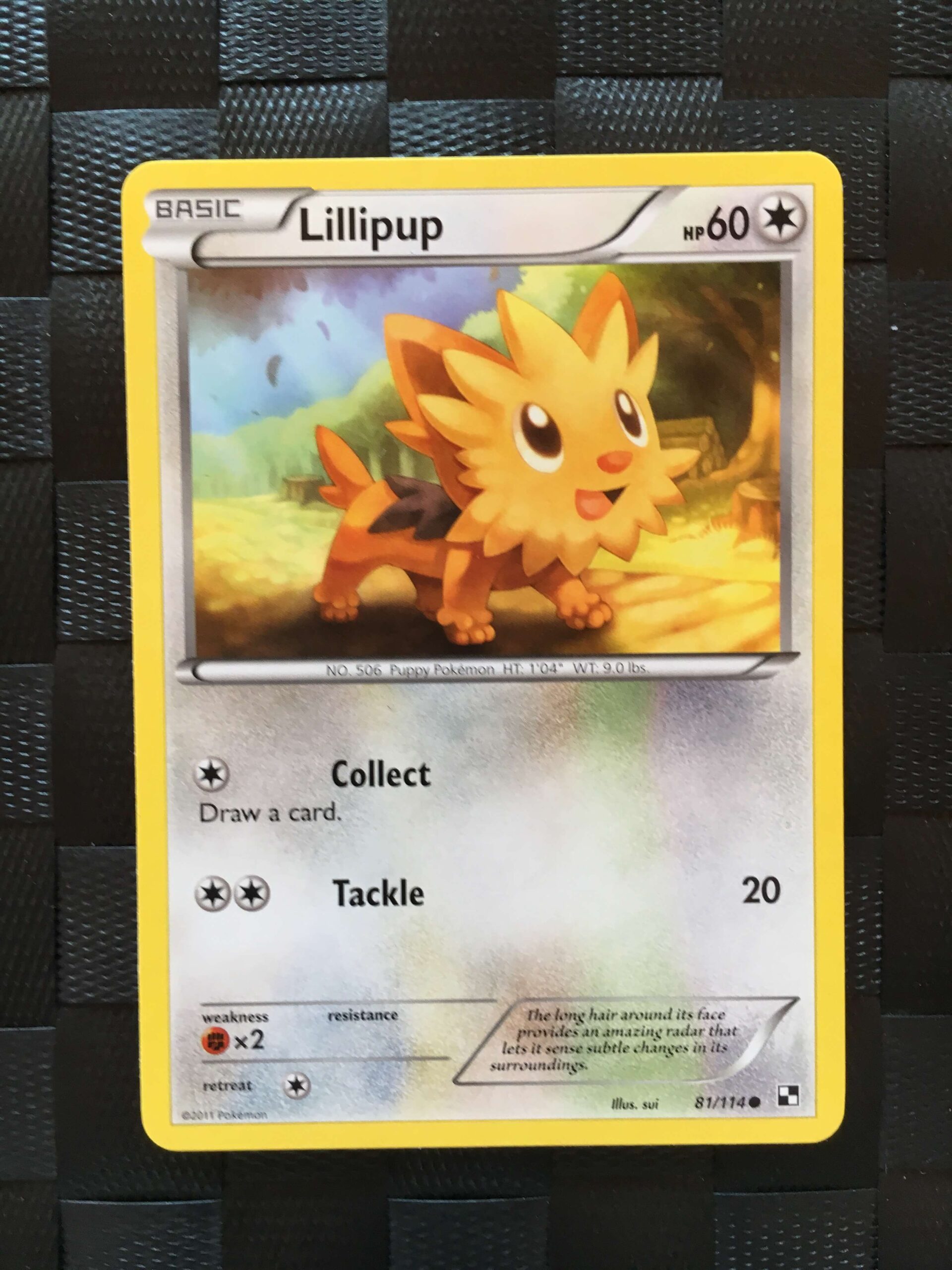 Lillipup Common Black & White 2 Lillipup Common Black & White 2