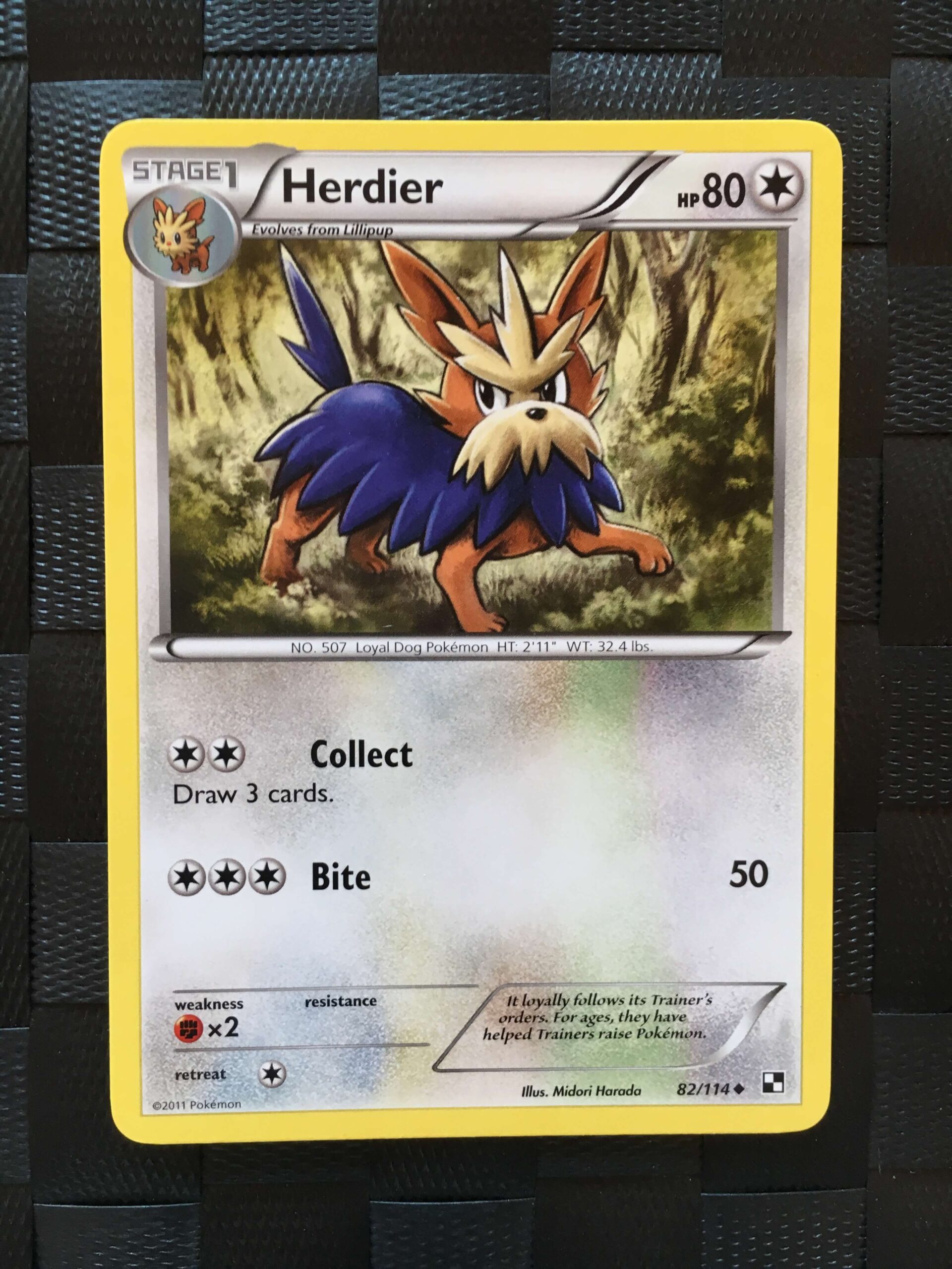 Herdier Uncommon Black & White Herdier Uncommon Black & White
