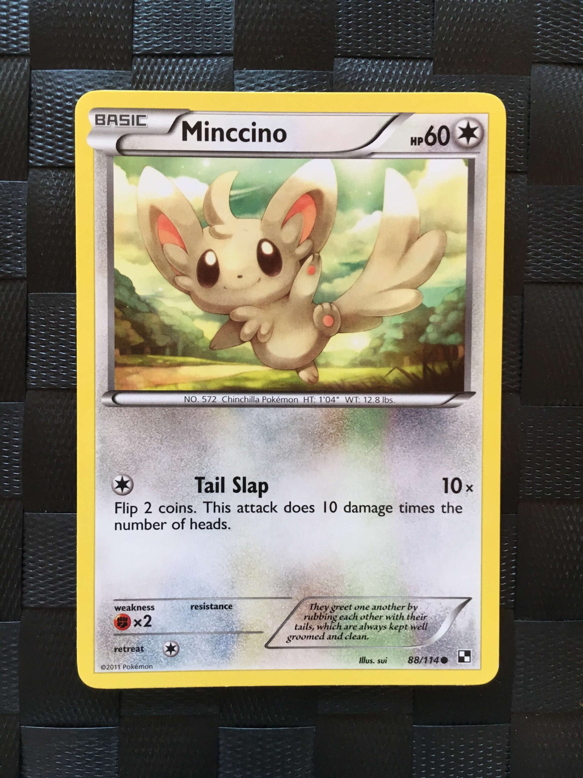 Minccino Common Black & White Minccino Common Black & White