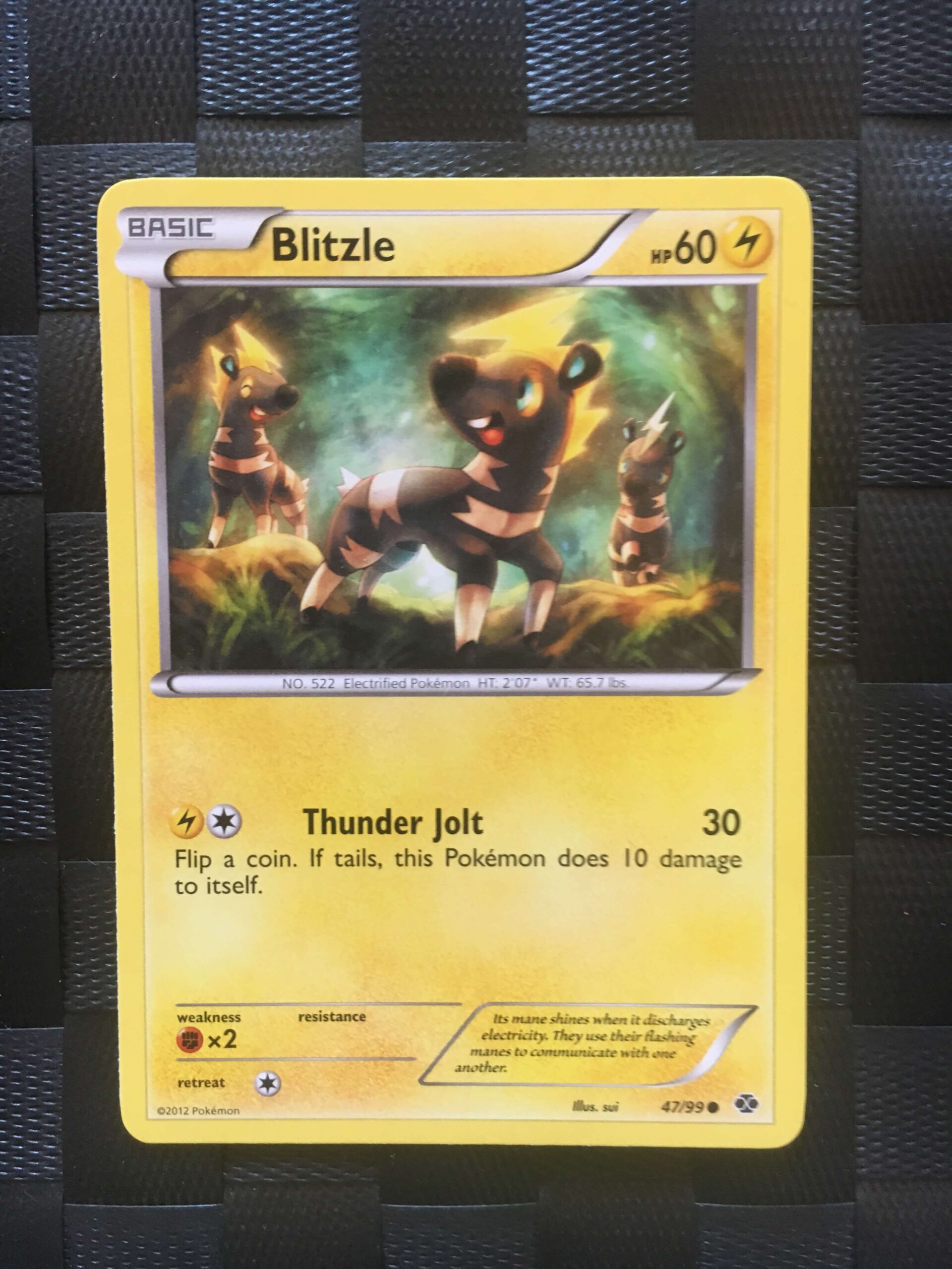 Blitzle Common Black & White: Next Destinies Blitzle Common Black & White: Next Destinies