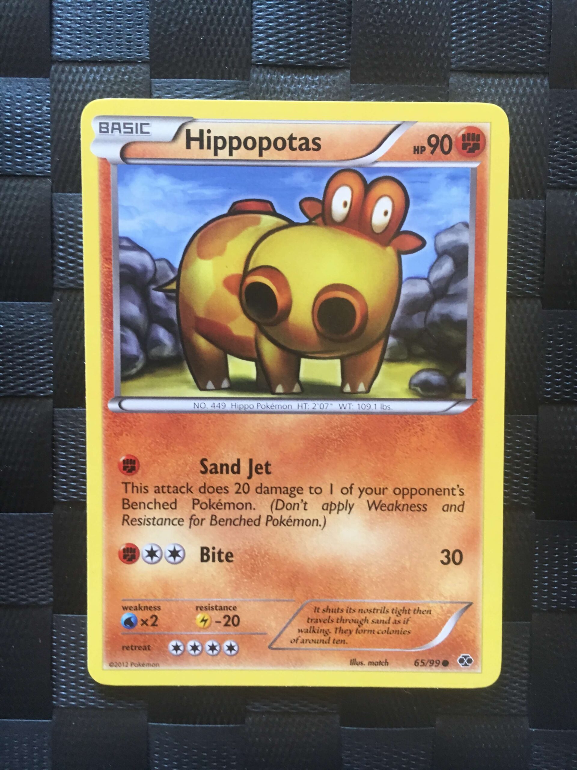 Hippopotas Common Black & White: Next Destinies Hippopotas Common Black & White: Next Destinies