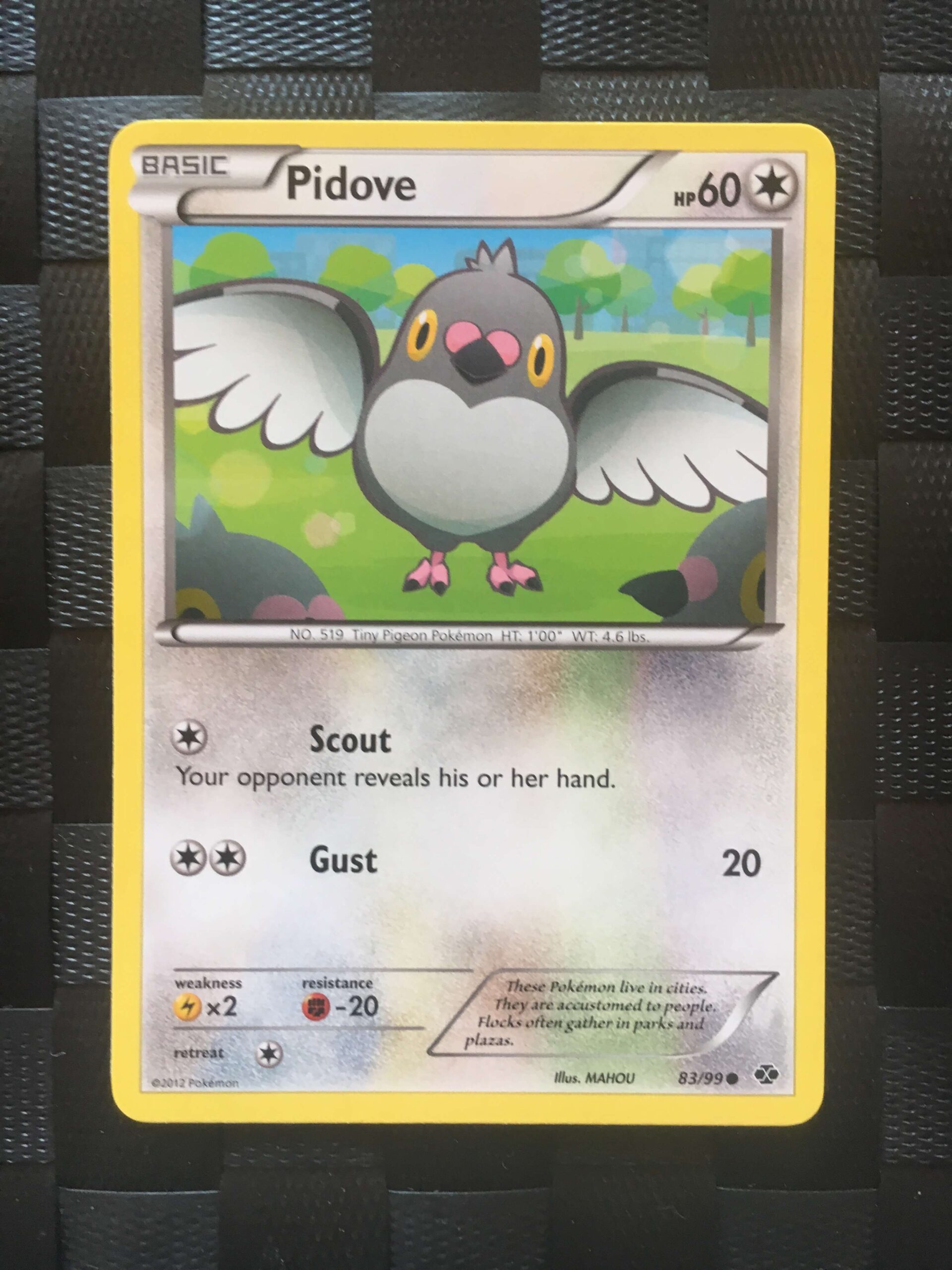 Pidove Common Black & White: Next Destinies Pidove Common Black & White: Next Destinies