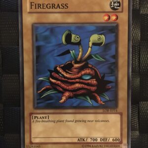 Fireagrass