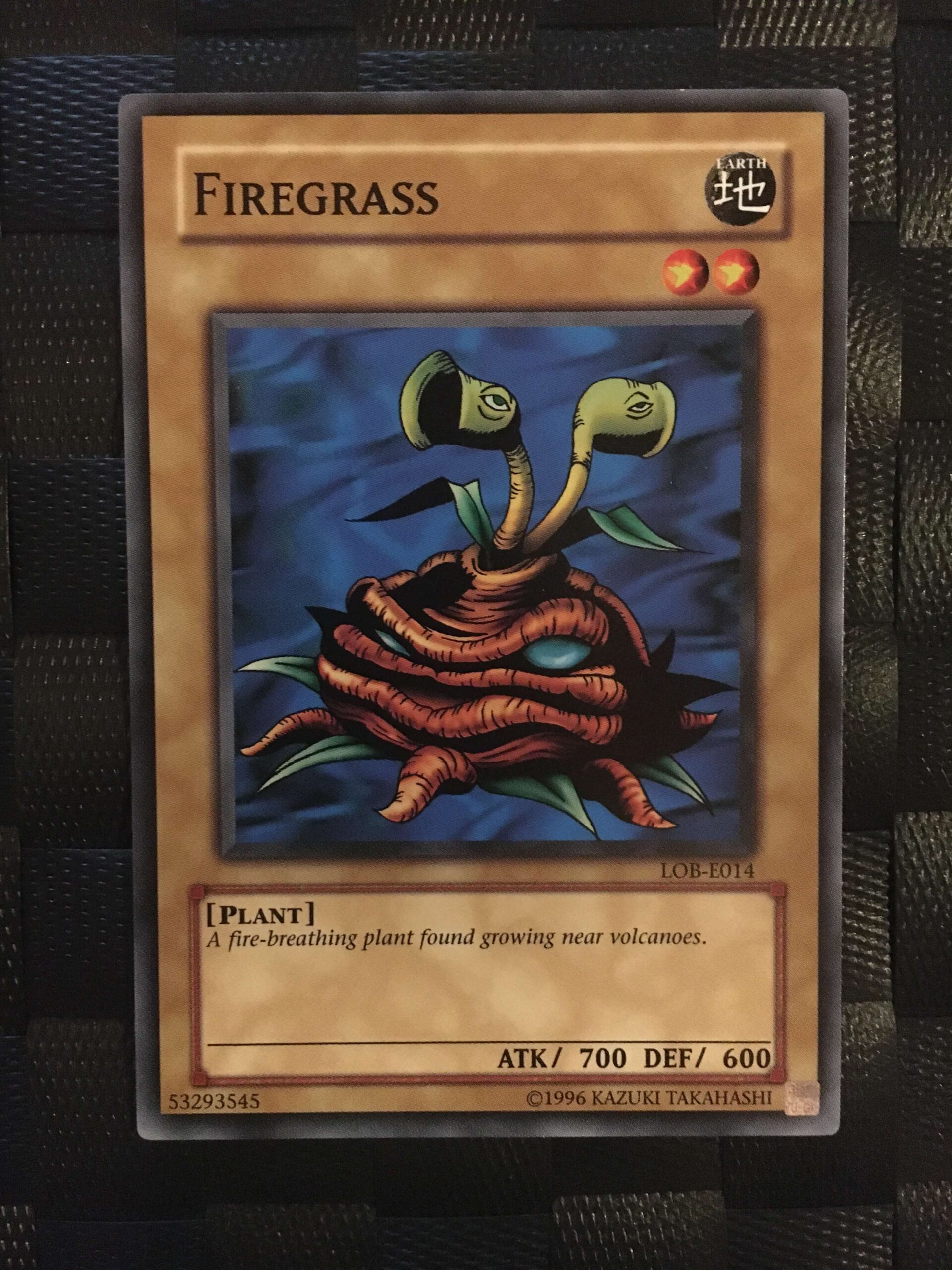 Fireagrass Fireagrass