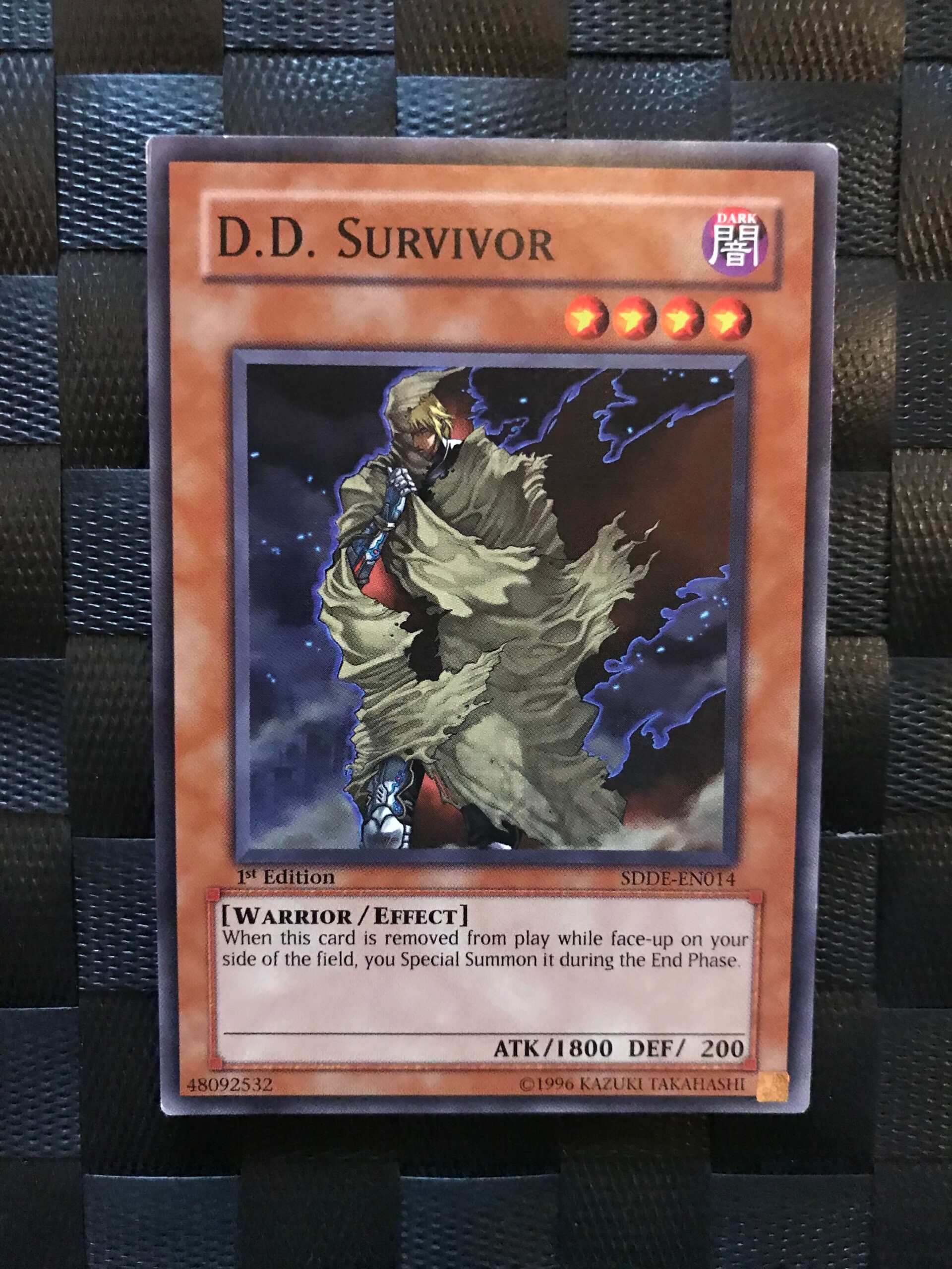D.D. Survivor D.D. Survivor