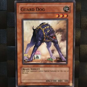 Guard Dog