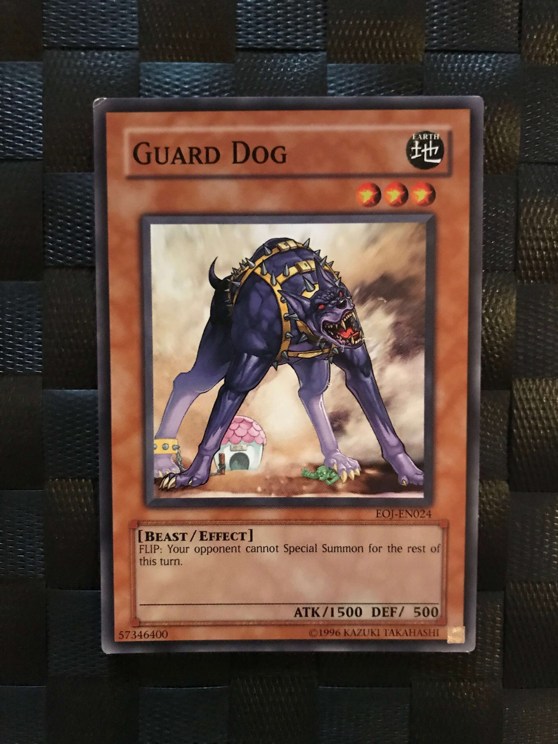 Guard Dog