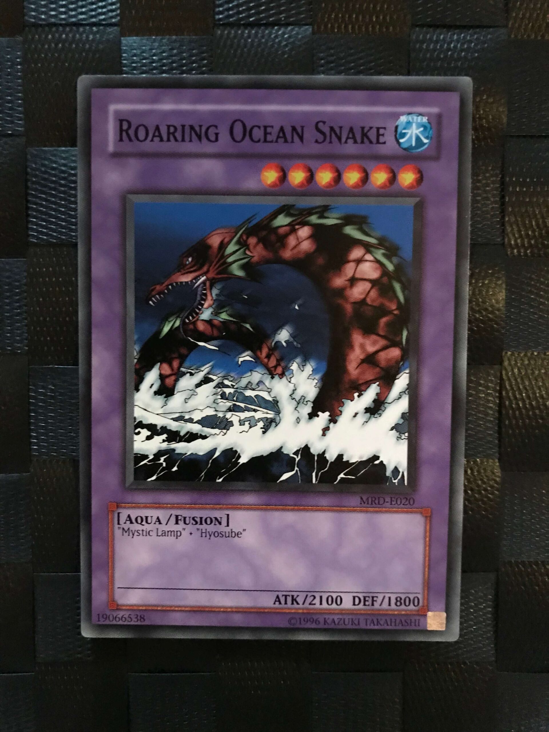 Roaring Ocean Snake Roaring Ocean Snake