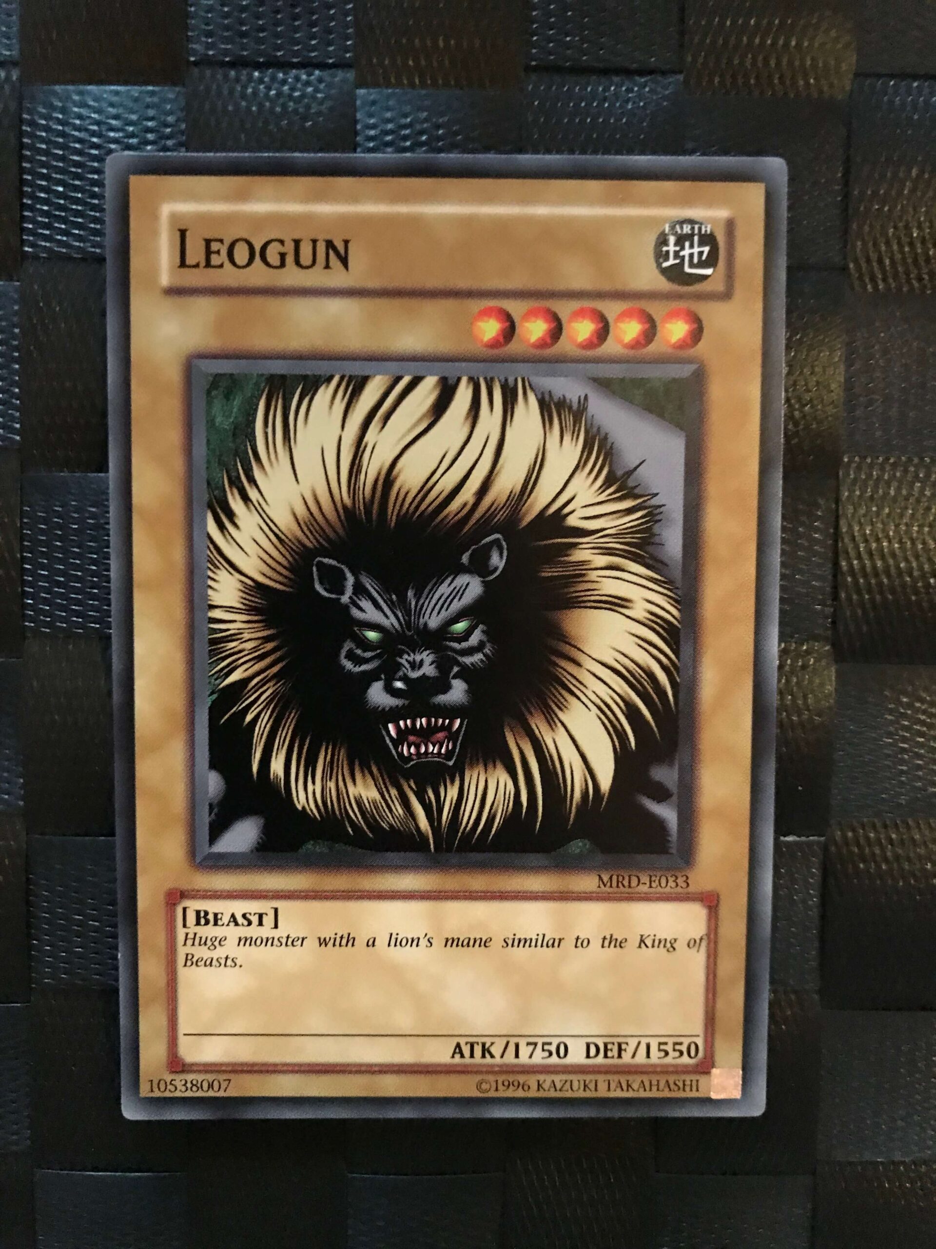 Leogun Leogun