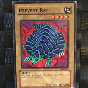 Prevent Rat