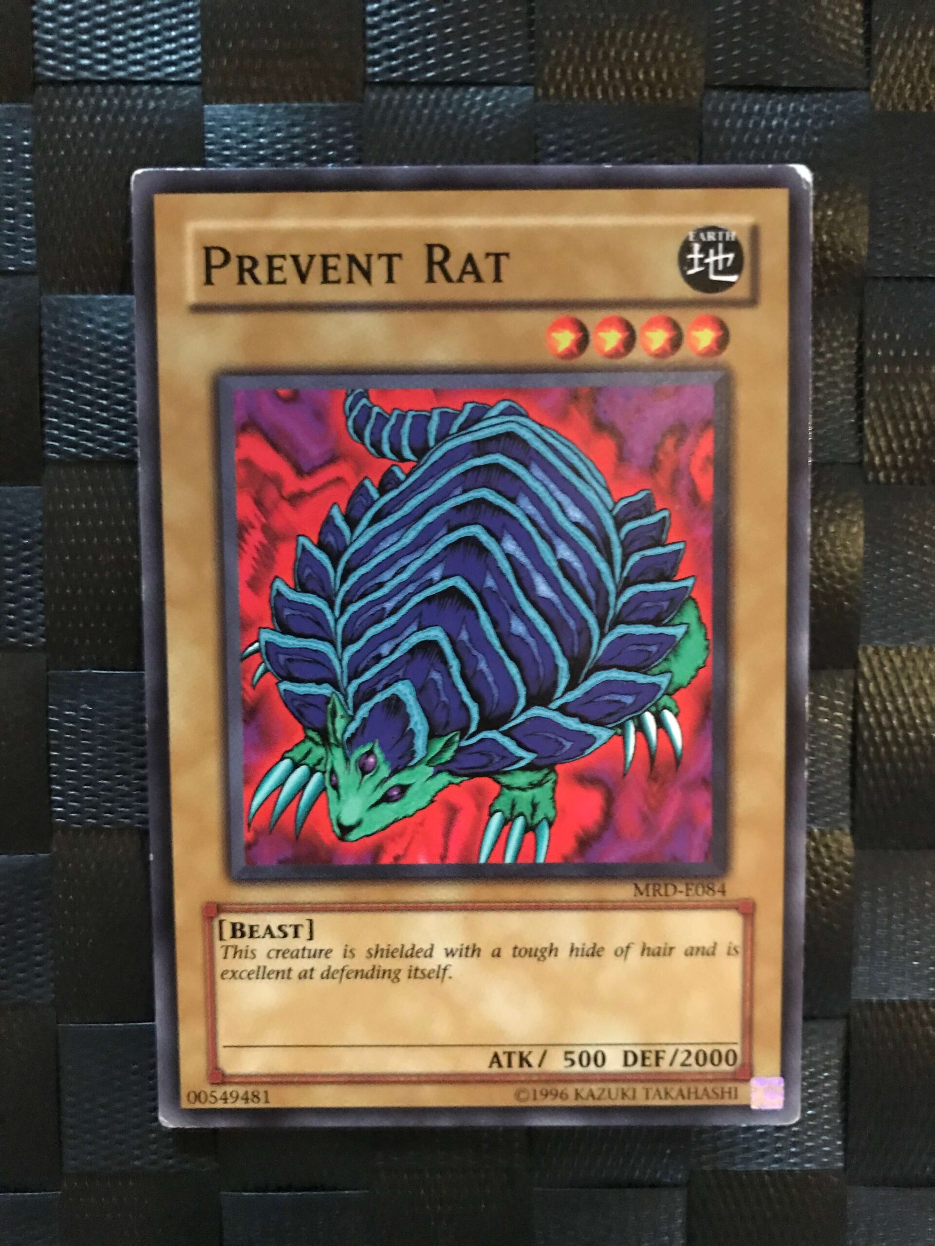 Prevent Rat Prevent Rat