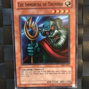 The Immortal of Thunder