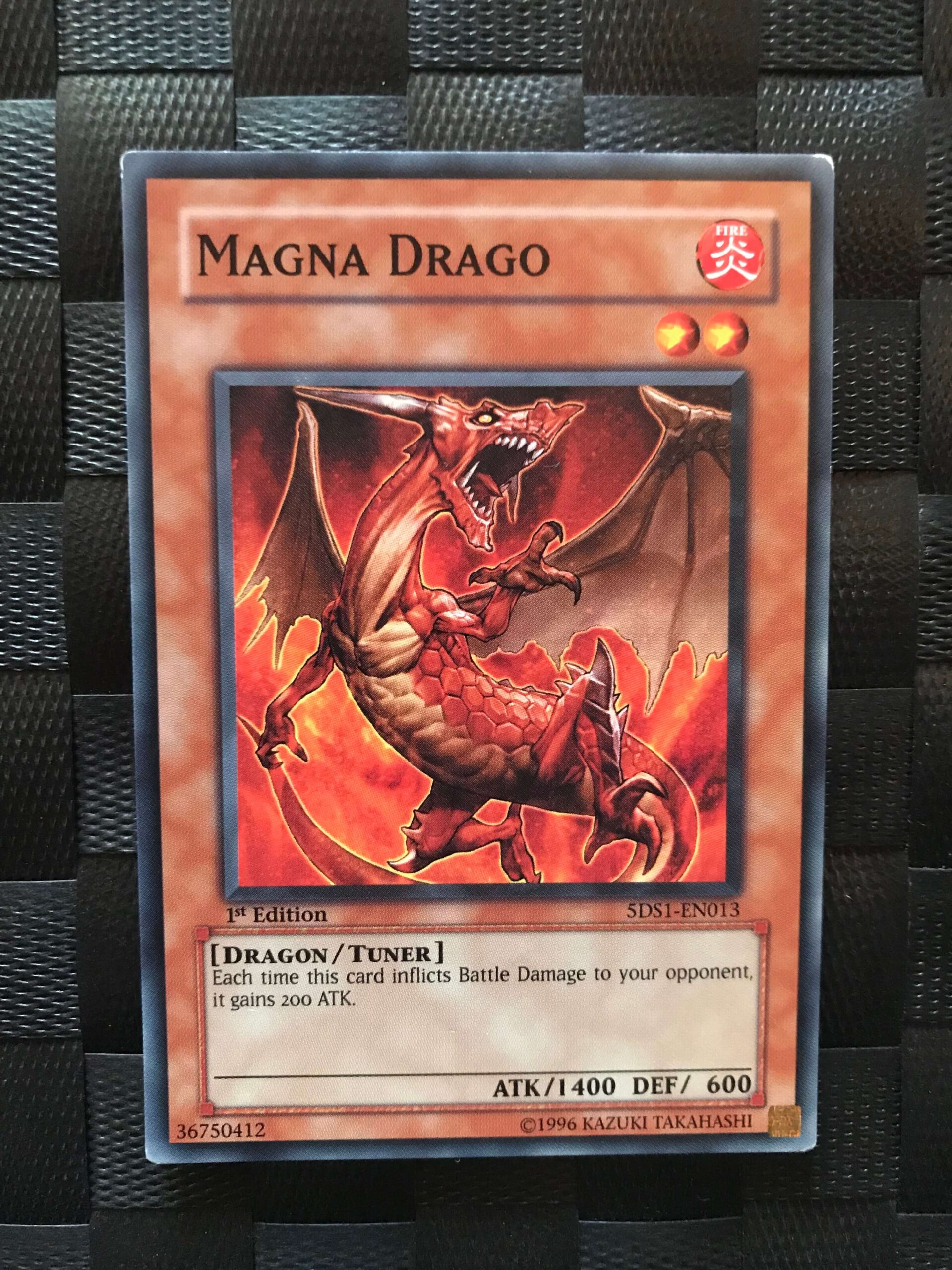 Magna Drago