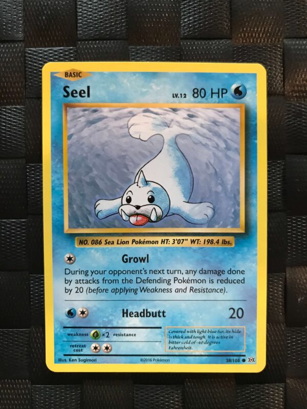 Seel