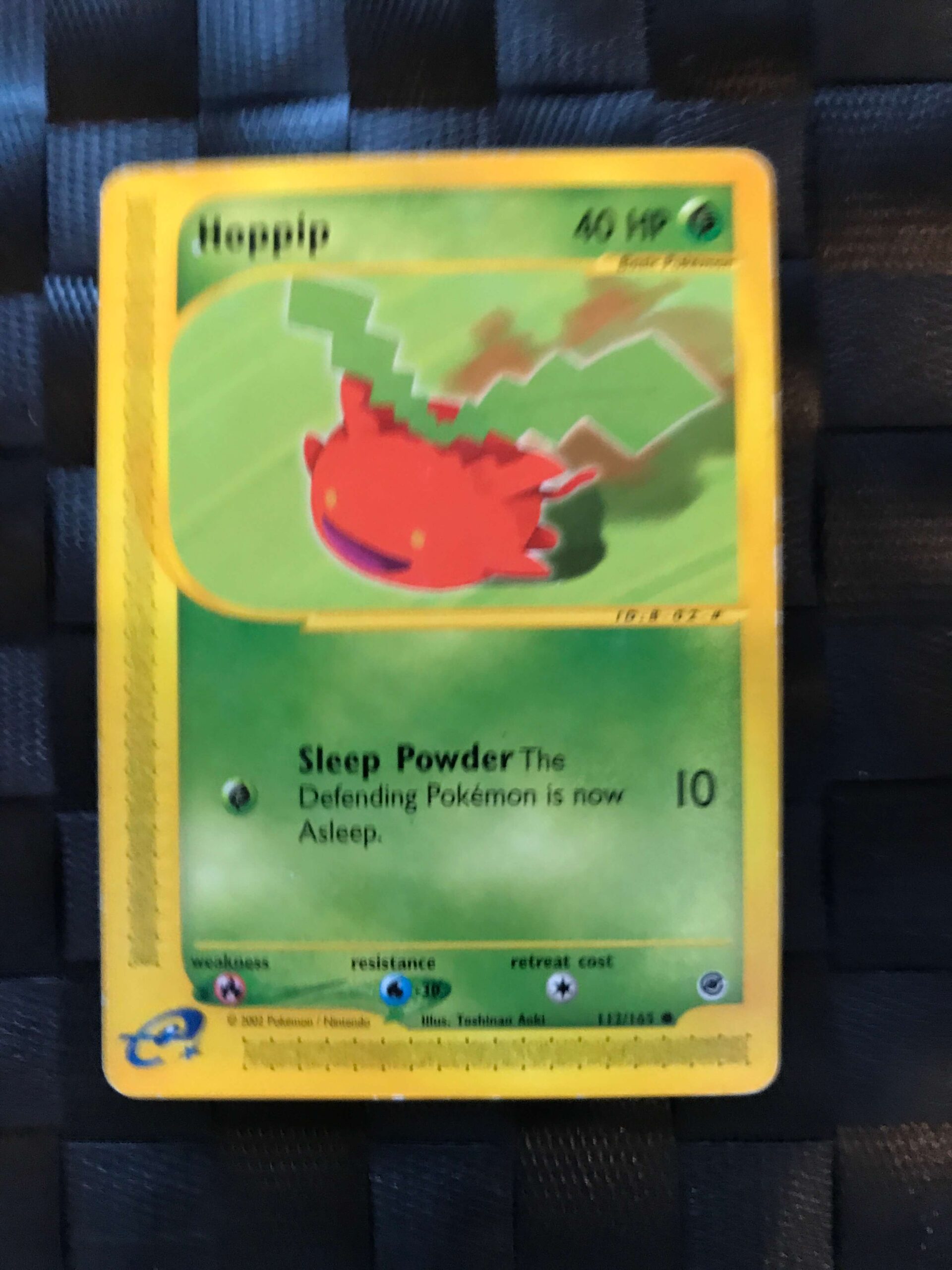 Hoppip Hoppip