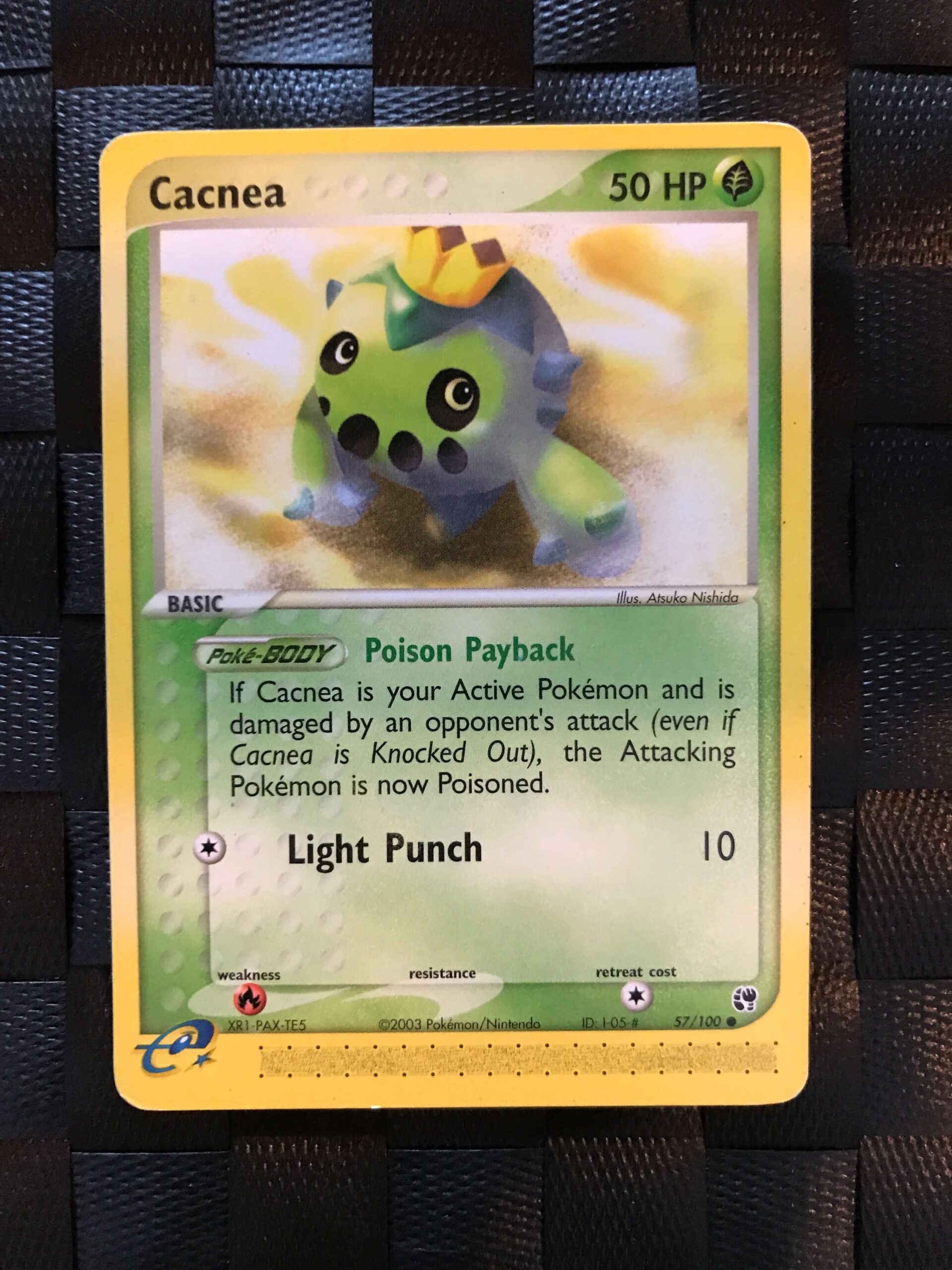 Cacnea Cacnea