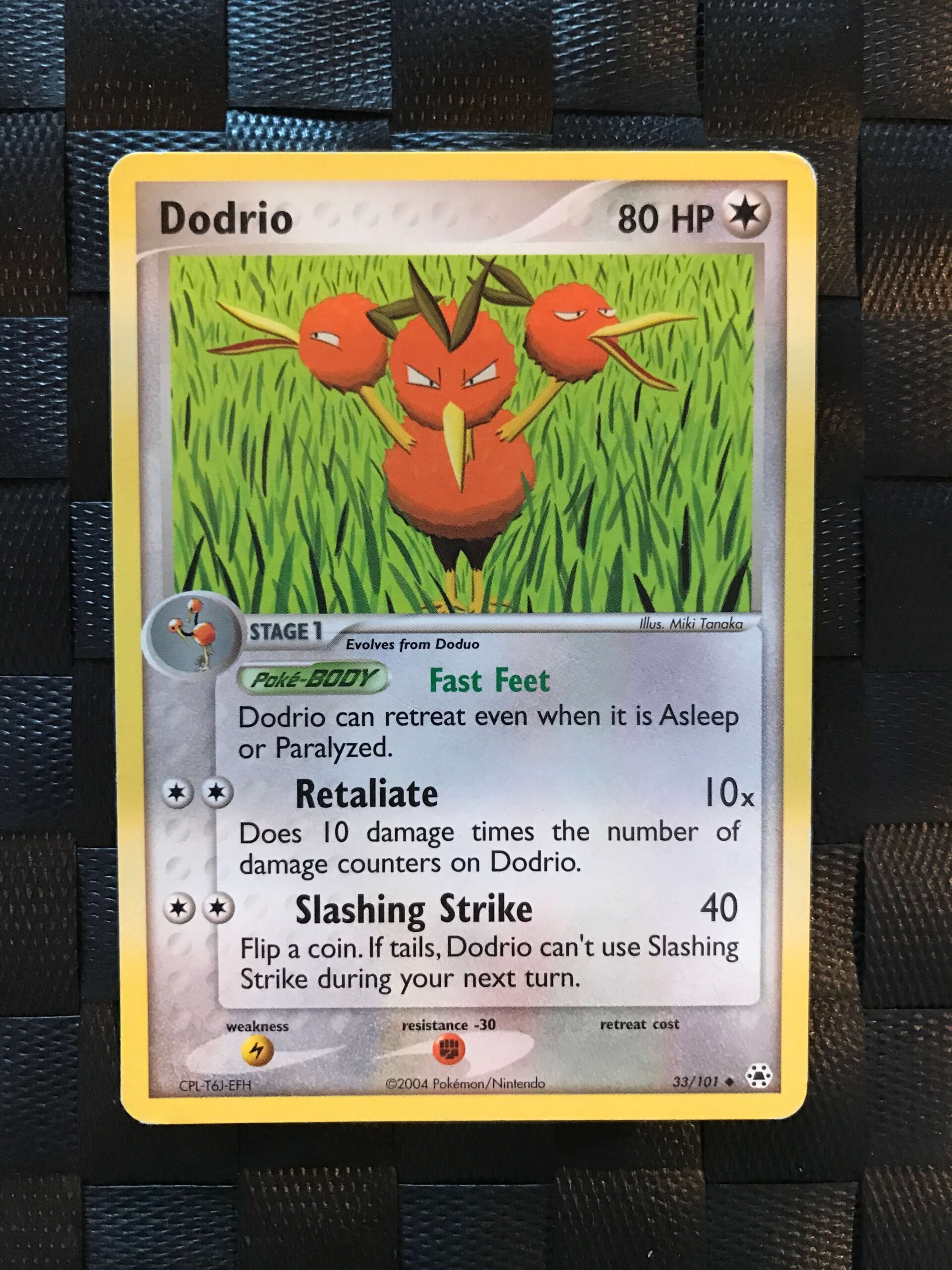 Dodrio Dodrio