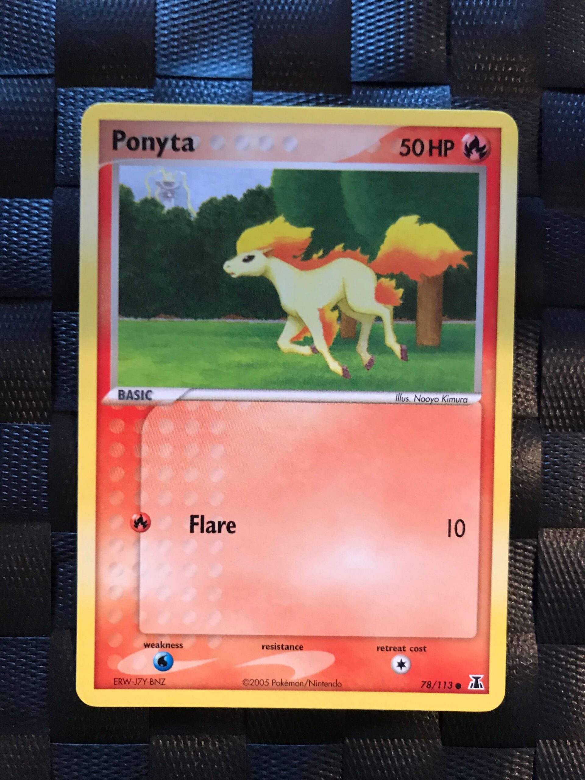 Ponyta Ponyta