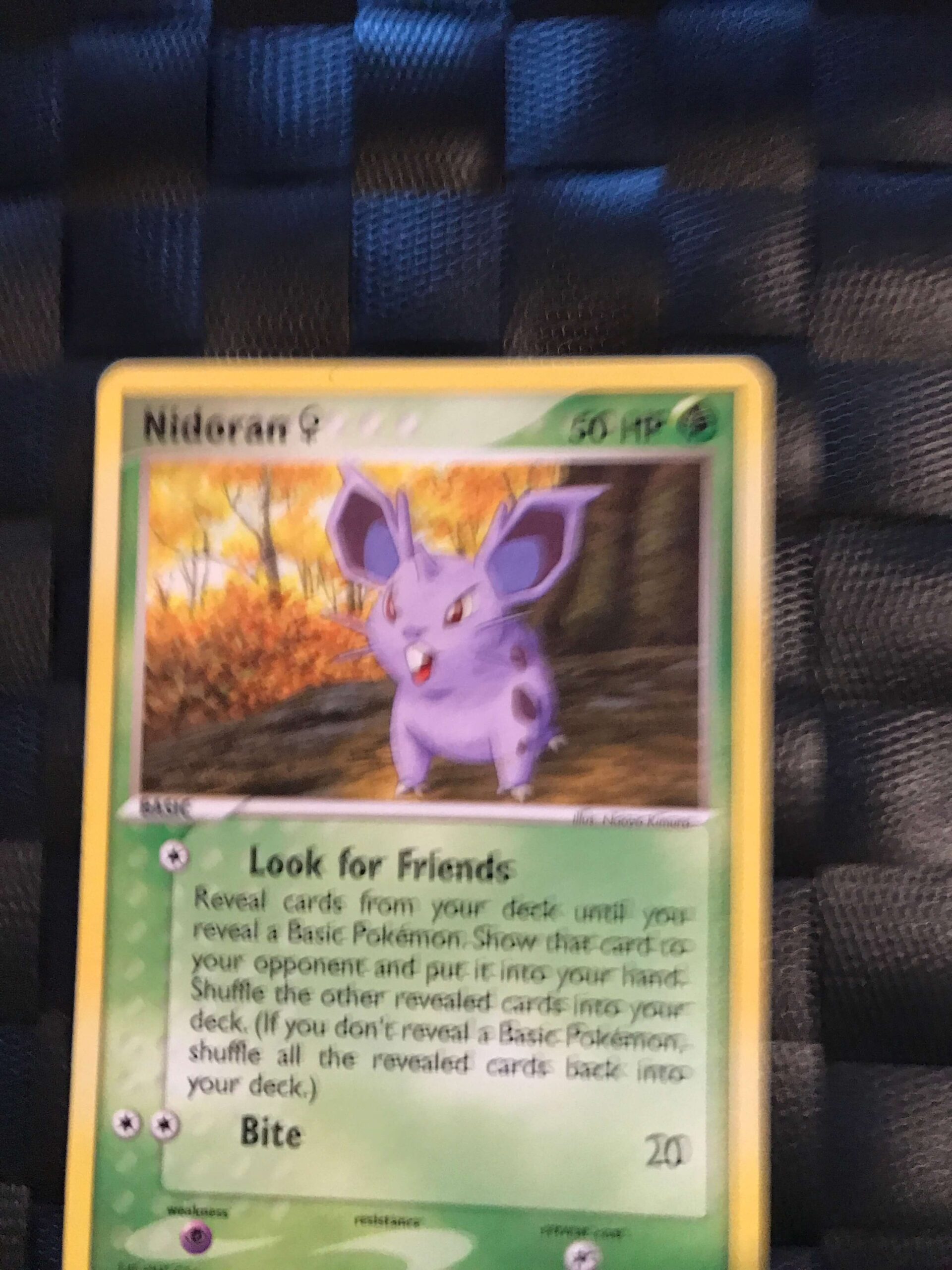 Nidoran Nidoran