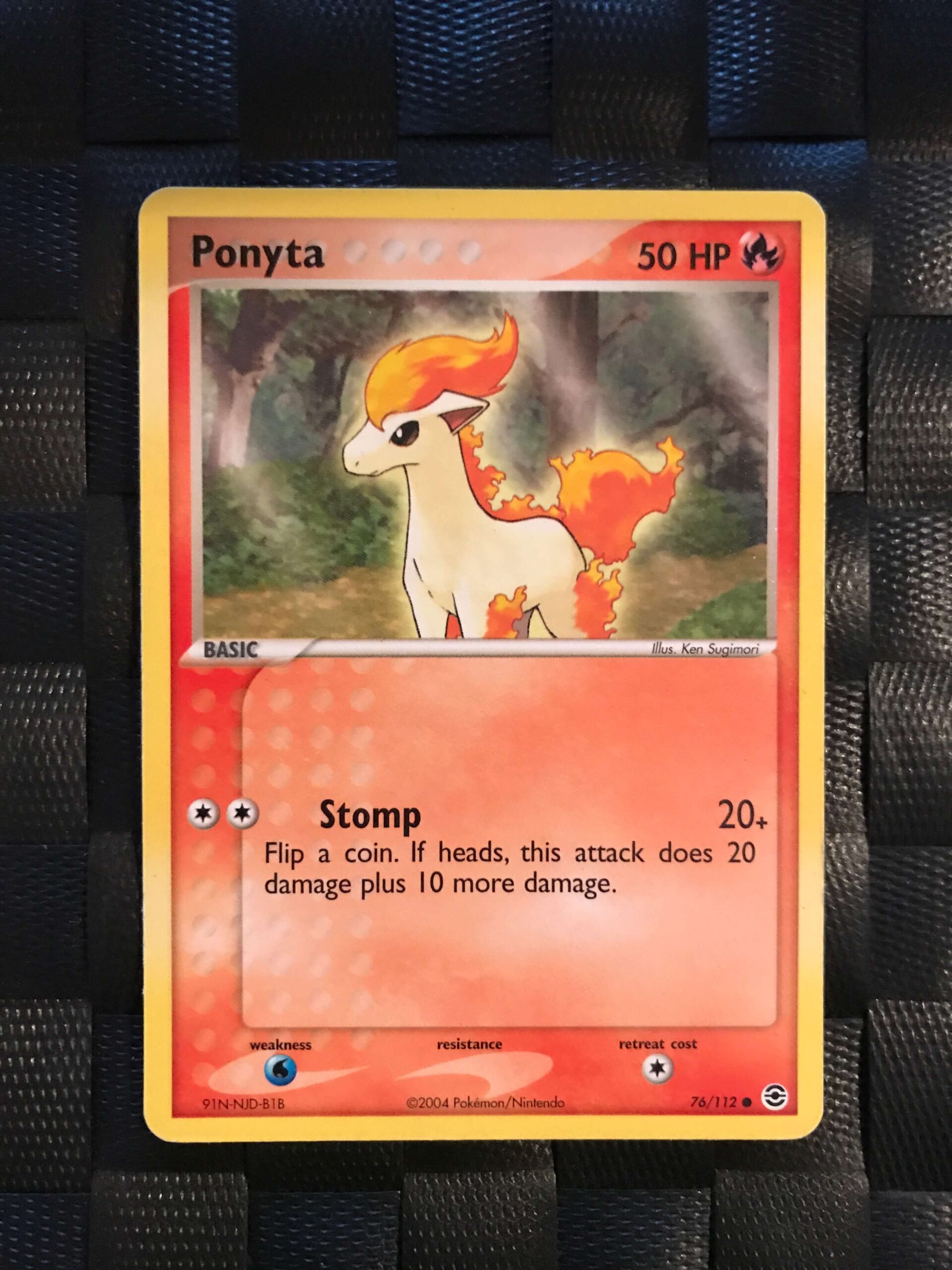Ponyta