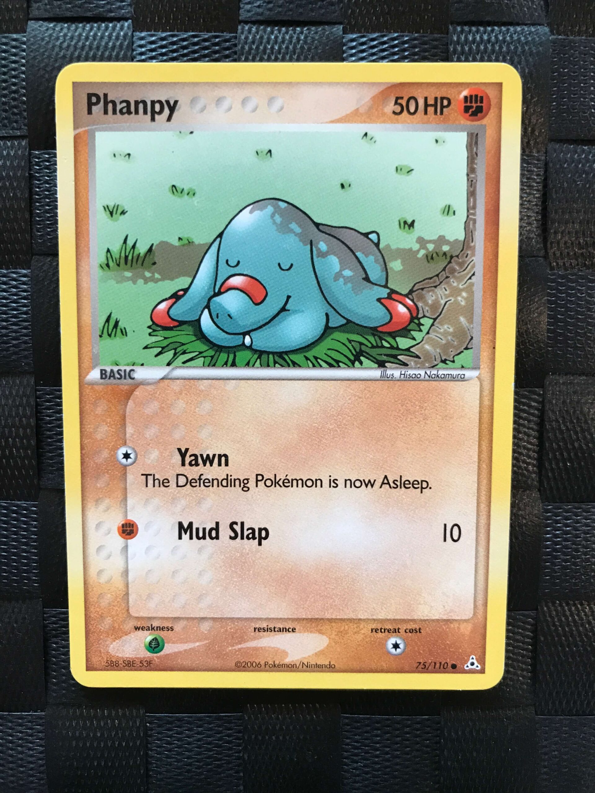 Phanpy Phanpy
