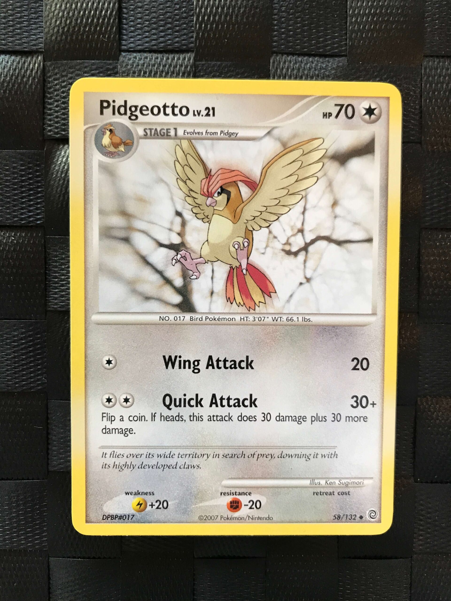 Pidgeotto