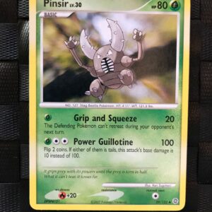 Pinsir