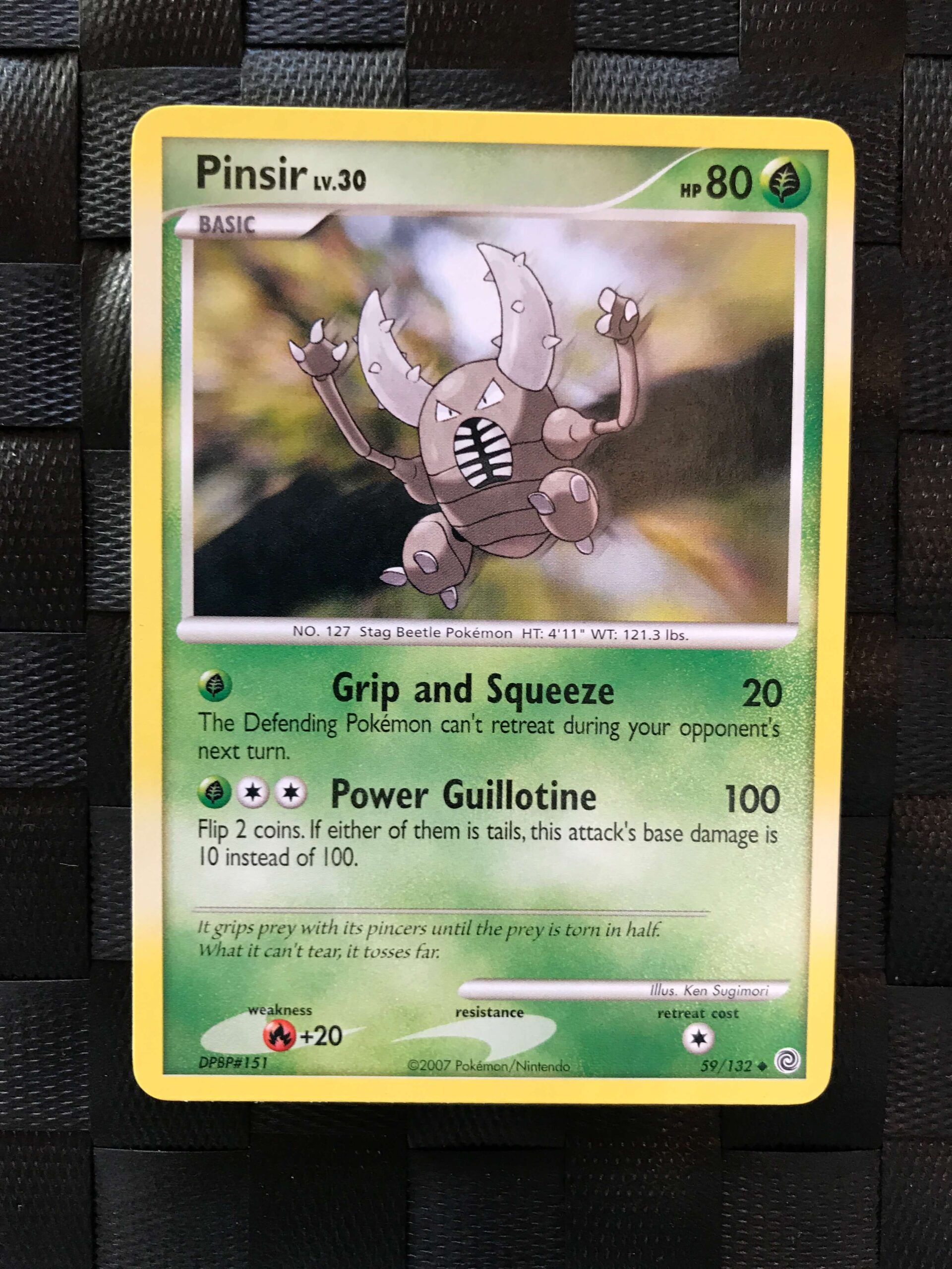 Pinsir Pinsir