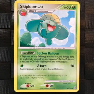 Skiploom