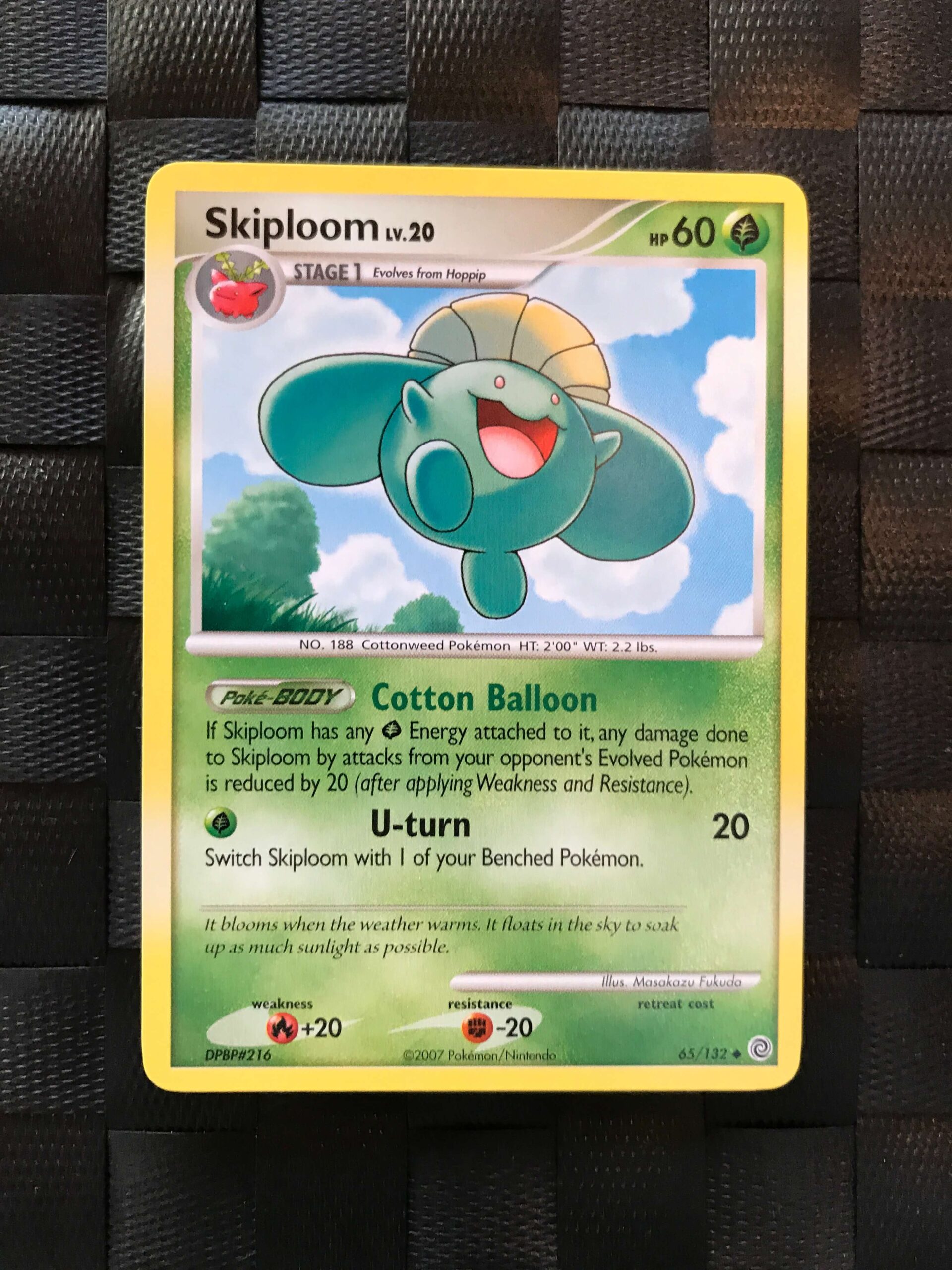 Skiploom