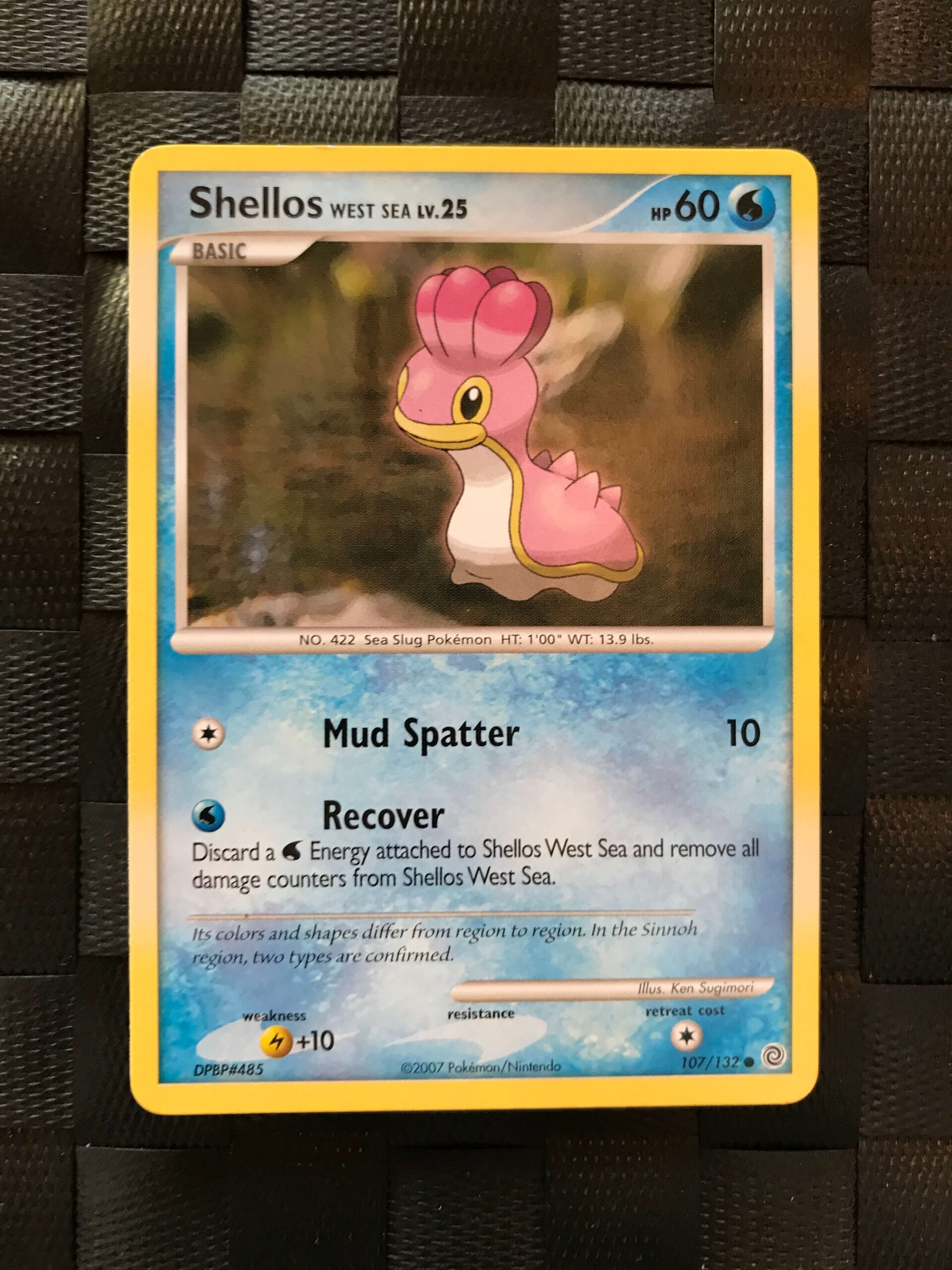 Shellos Shellos