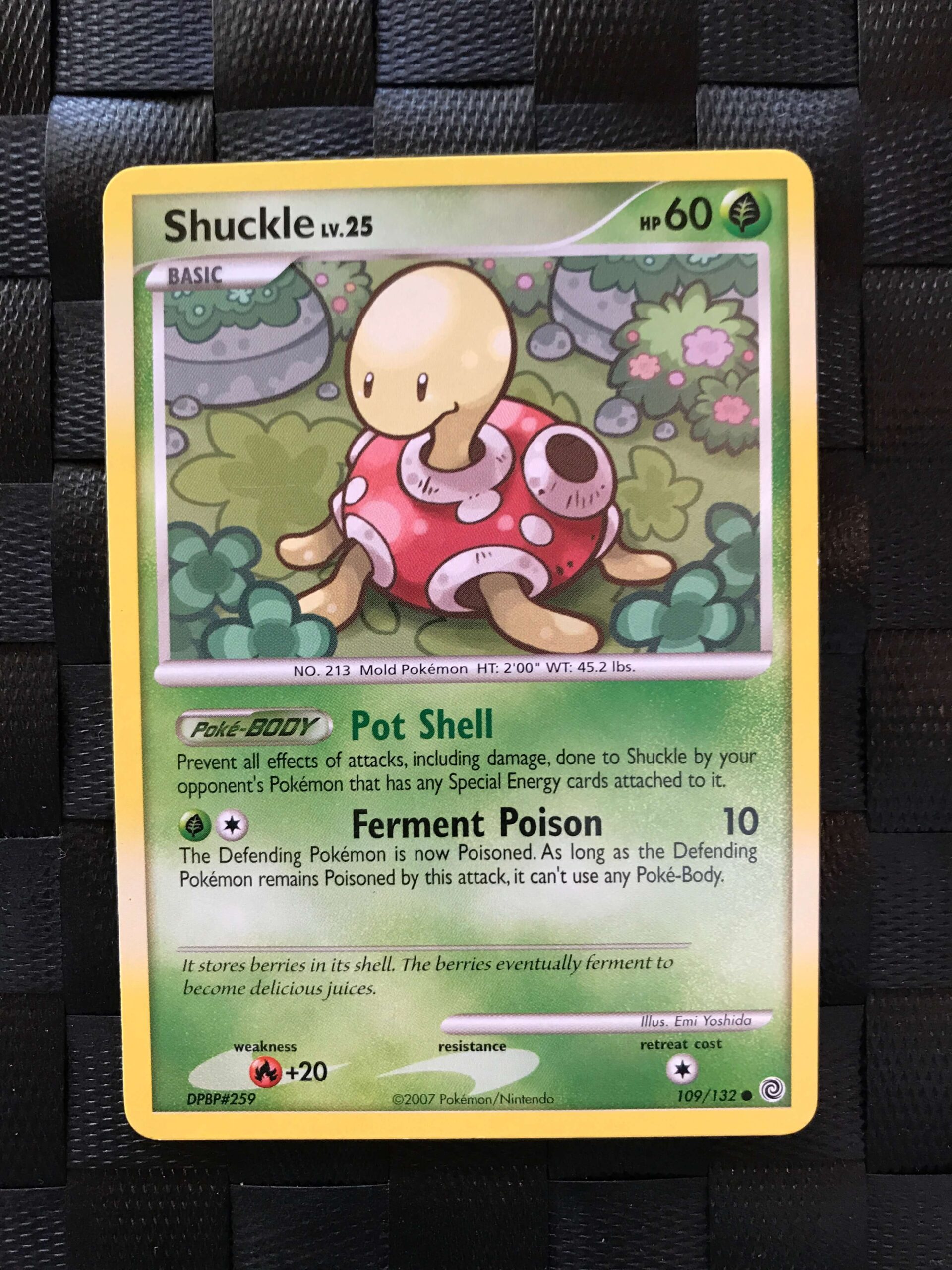 Shuckle Shuckle