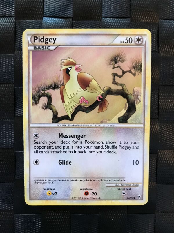 Pidgey